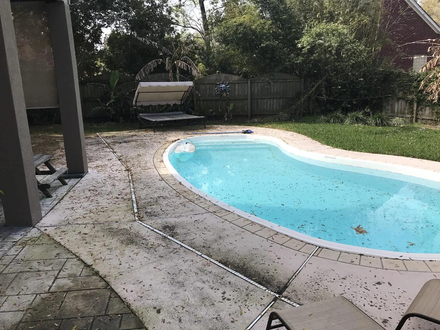Backyard with a small kidney-shaped swimming pool filled with water and leaves, surrounded by a concrete deck, a wooden swing with canopy, a grassy area, and a wooden privacy fence, with trees in the background.