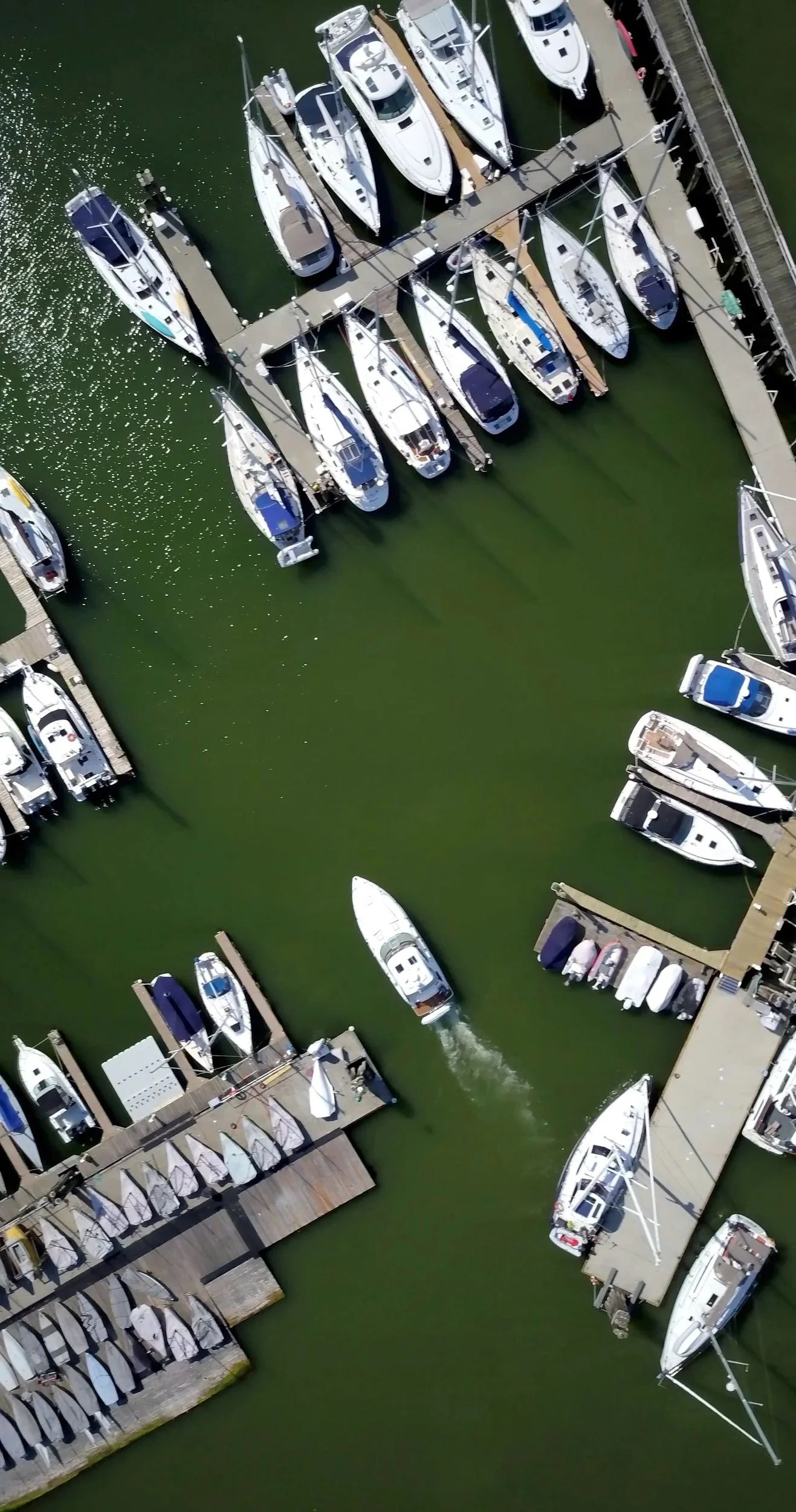 An aerial view of a marina with numerous boats docked along piers and a boat moving through the water.