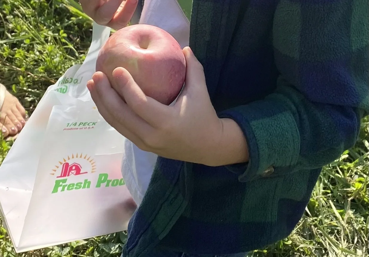 Person holding a pink and green apple outdoors, with a bag that reads 'Fresh Produce' nearby.