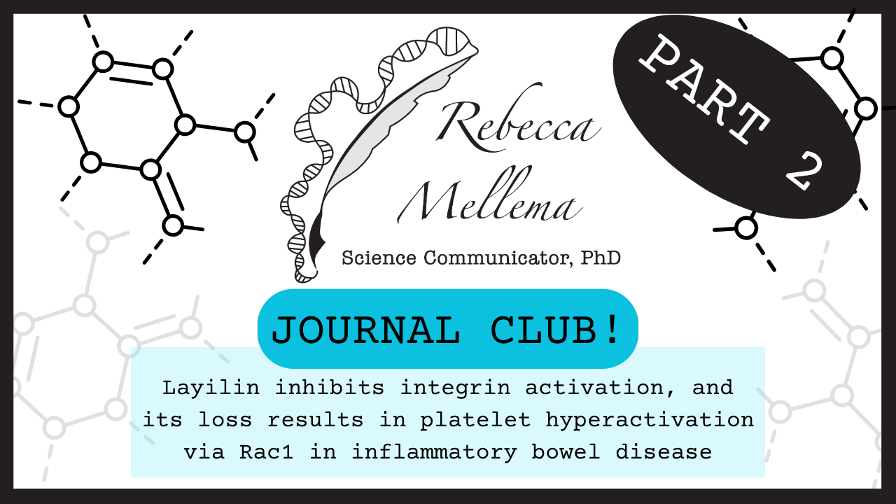 Part 2:

Today, we will be discussing the 2025 paper (my thesis paper), Layilin inhibits integrin activation, and its loss results in platelet hyperactivation via Rac1 in inflammatory bowel disease.  Published in Blood journal. Authors: Authors: Mell