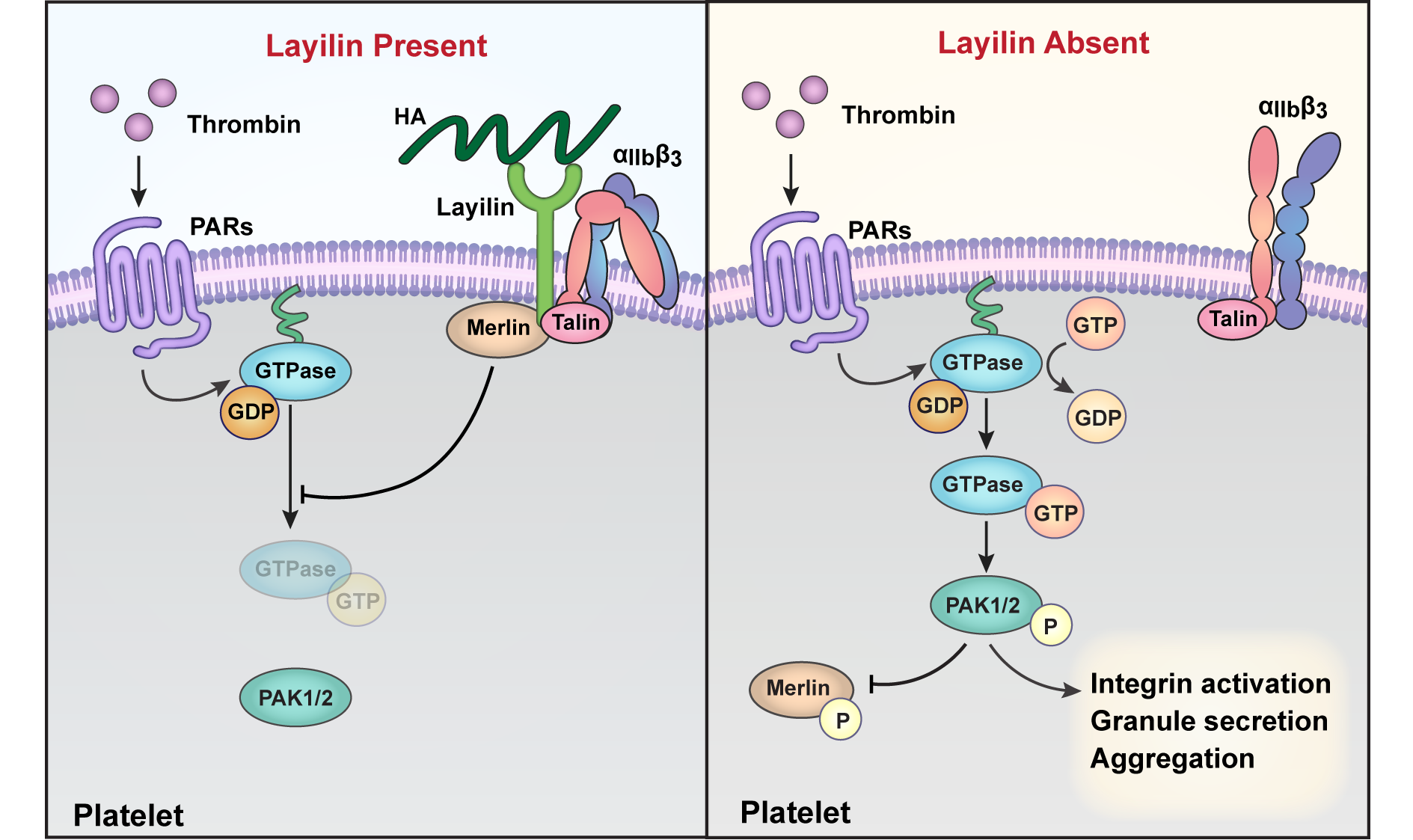 Laylin Blood IBD Abstract.png