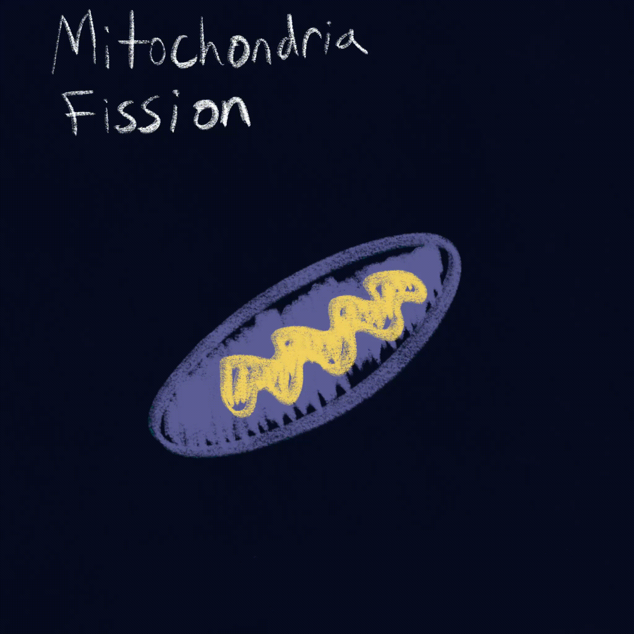 Untitled_Artwork 5 (1).gif