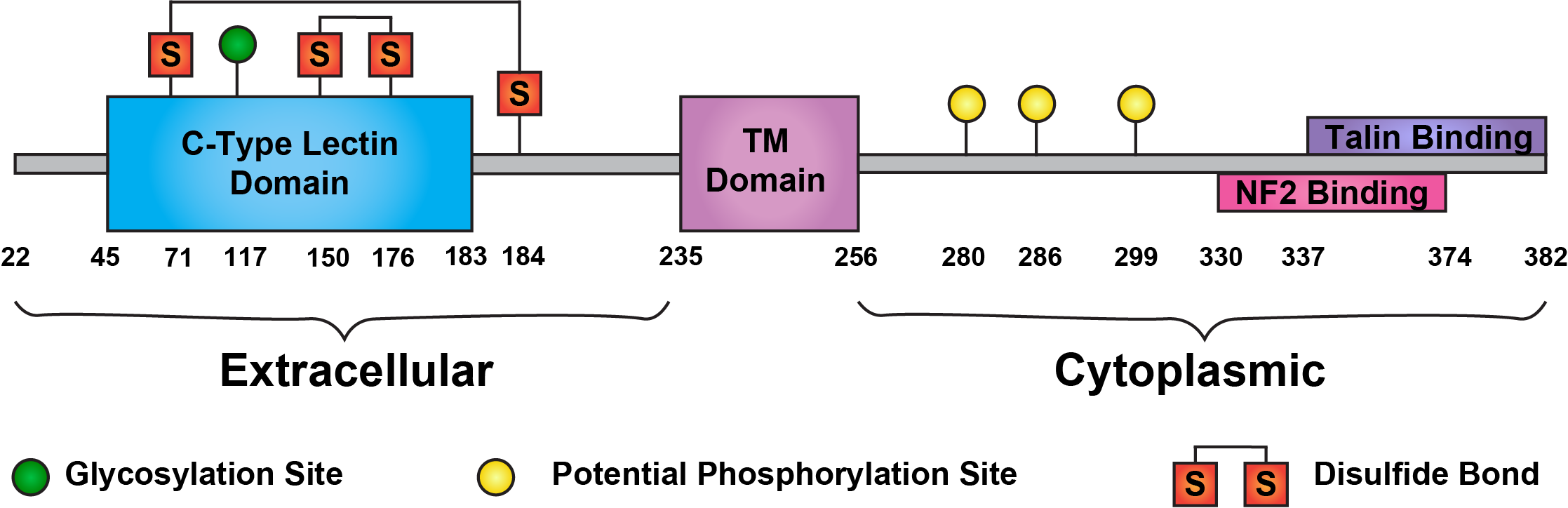Layilin Review Figure 1.png