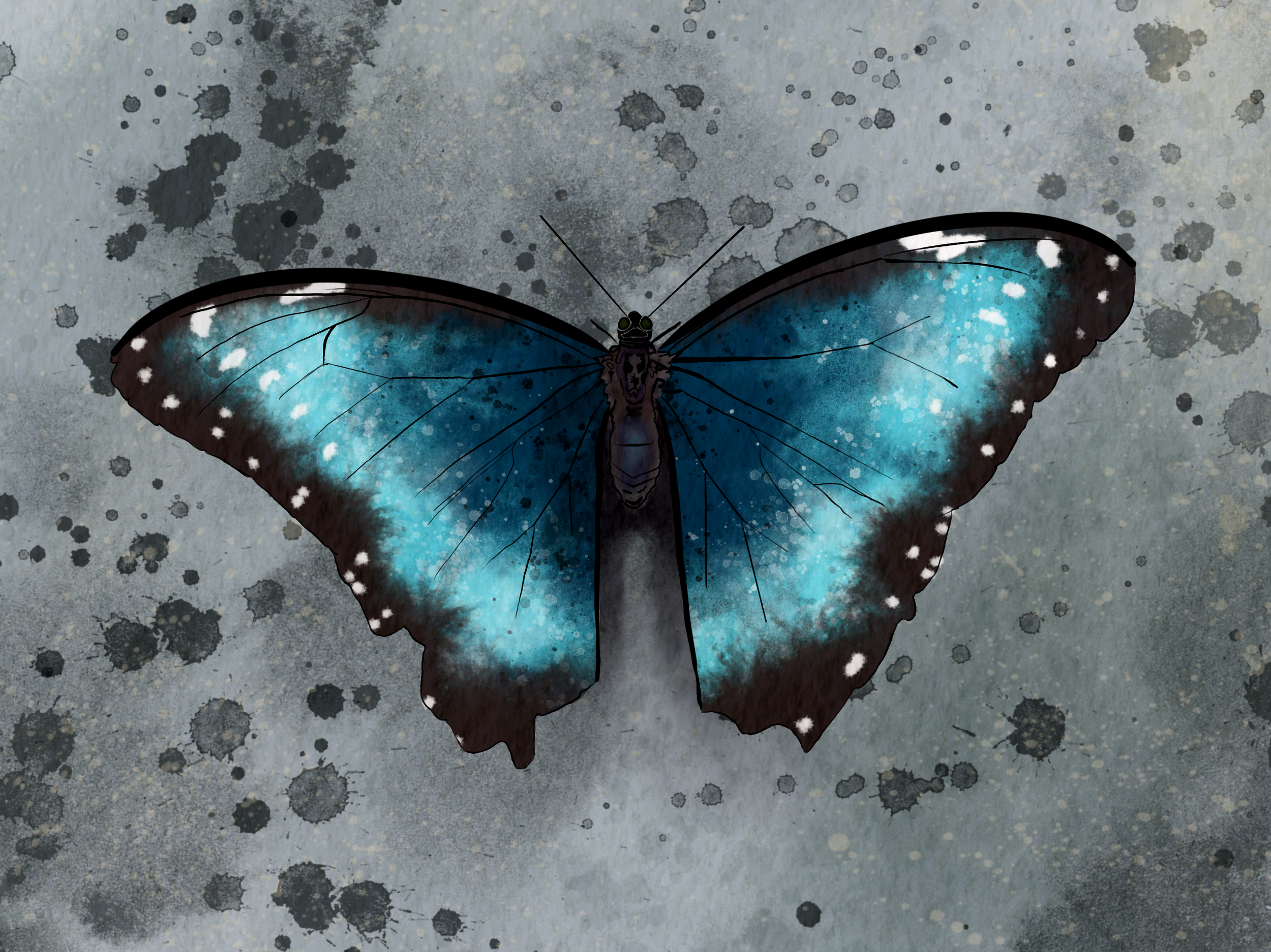 Butterfly. I was so lucky with the reference photo I took for this one at the Pacific Science Center; the blue is gorgeous!