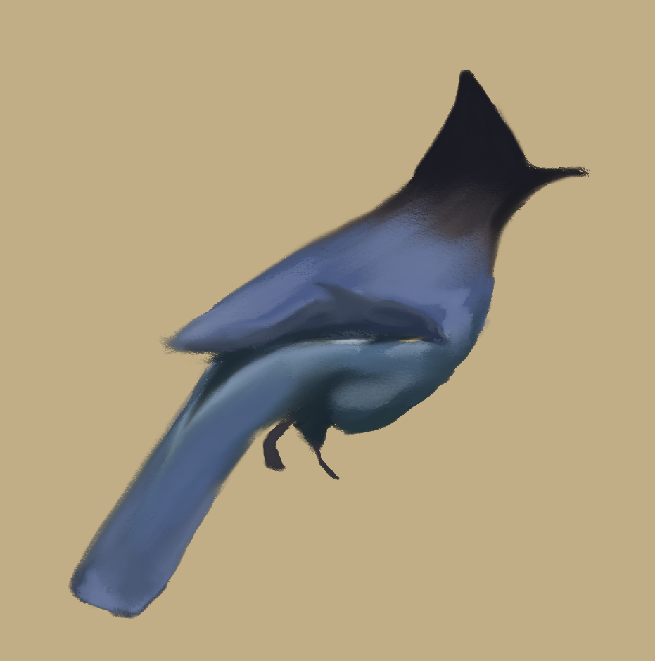 Steller's Jay and Orca. The orca came about as a tiny erasing accident; the resulting smudge looked exactly like a killer whale!