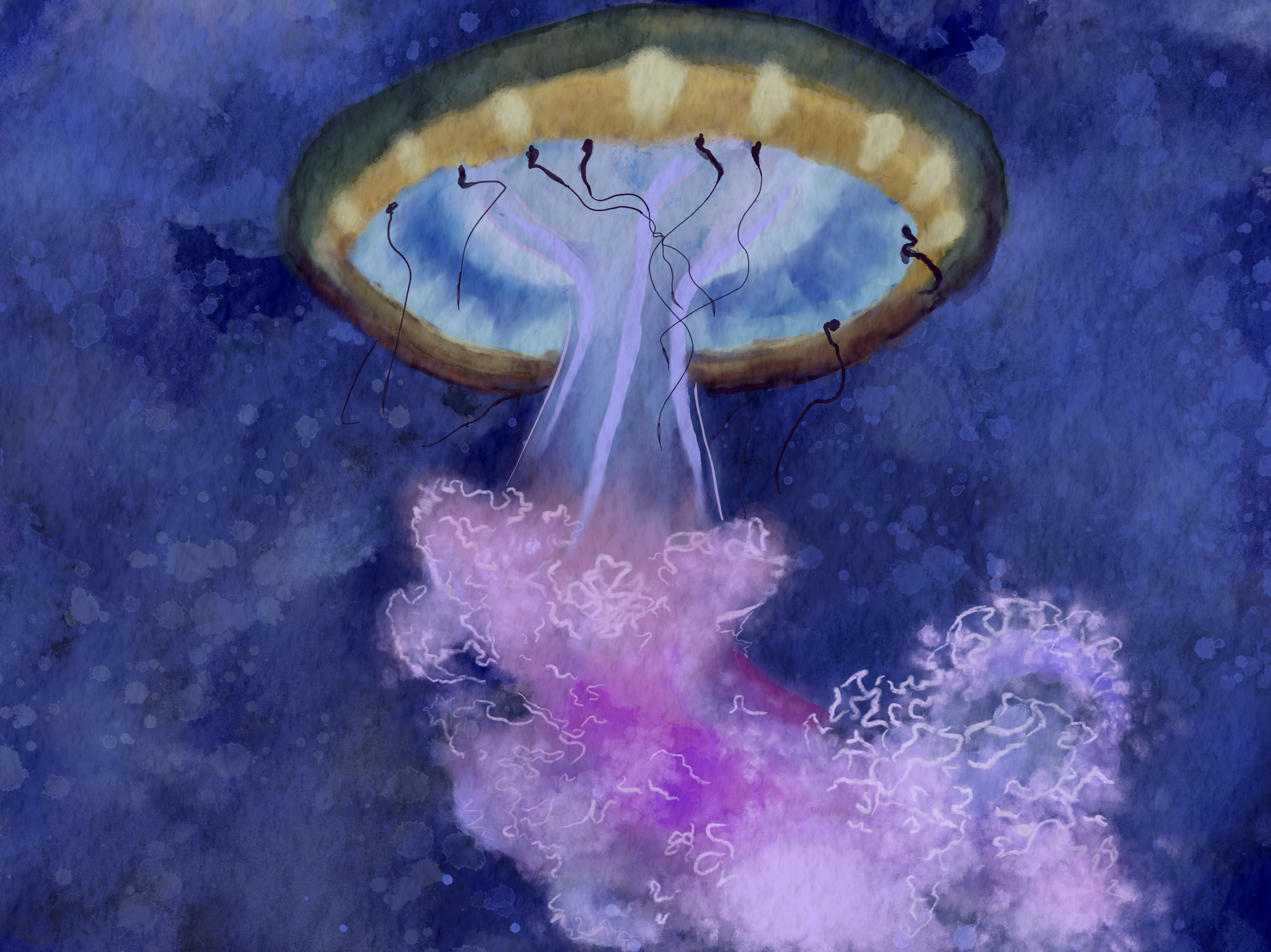 Jellyfish. Weirdly enough, the hood was the hardest to paint/color compared to the oral arms.