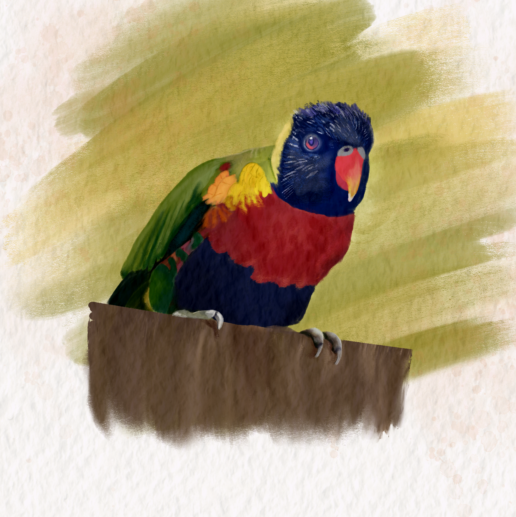 Digital gouache painting of a lorikeet from Woodland Park Zoo.