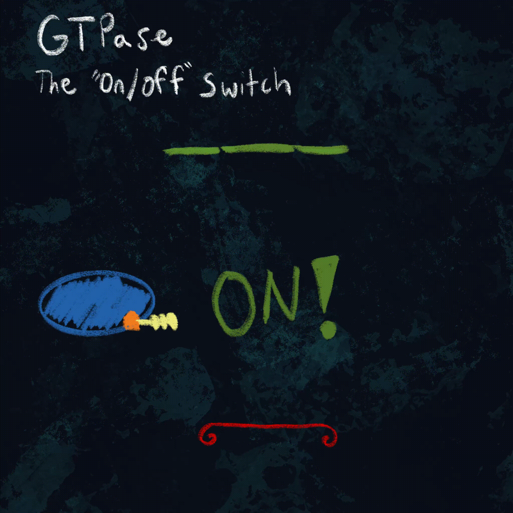 The GTPase cycle.