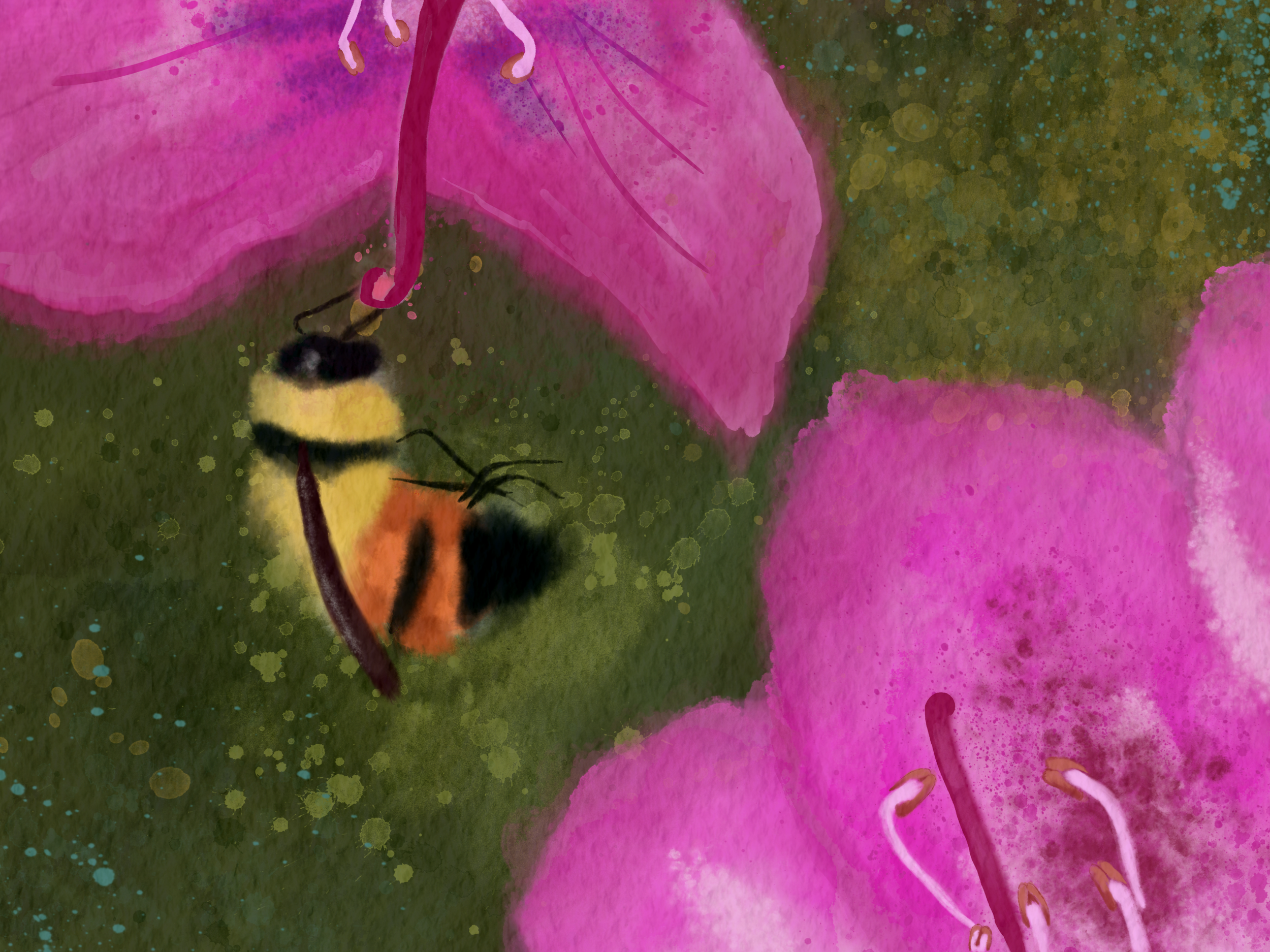 Bee on rhododendron. I'm so happy with how the bee came out, but even now I'm not completely satisfied with the background