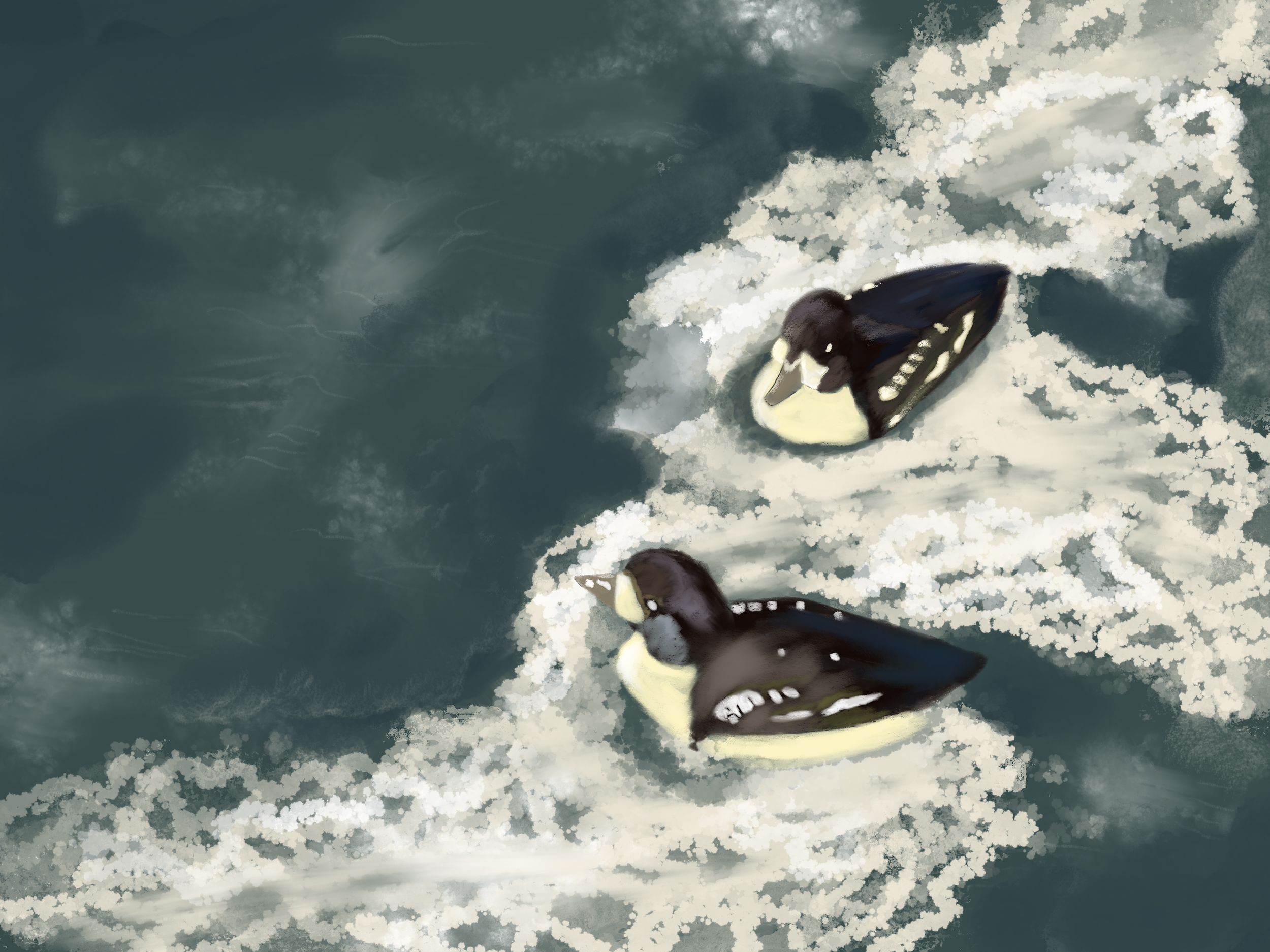 Ducks at Ballard Locks. The bubbles were the biggest challenge of this piece.