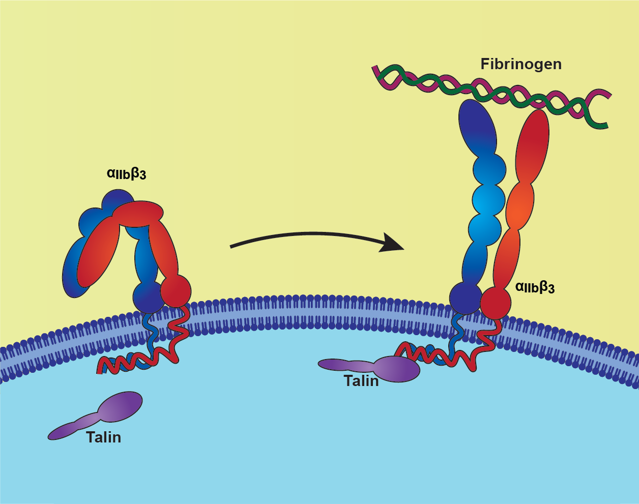 confirmation change_051425.png
