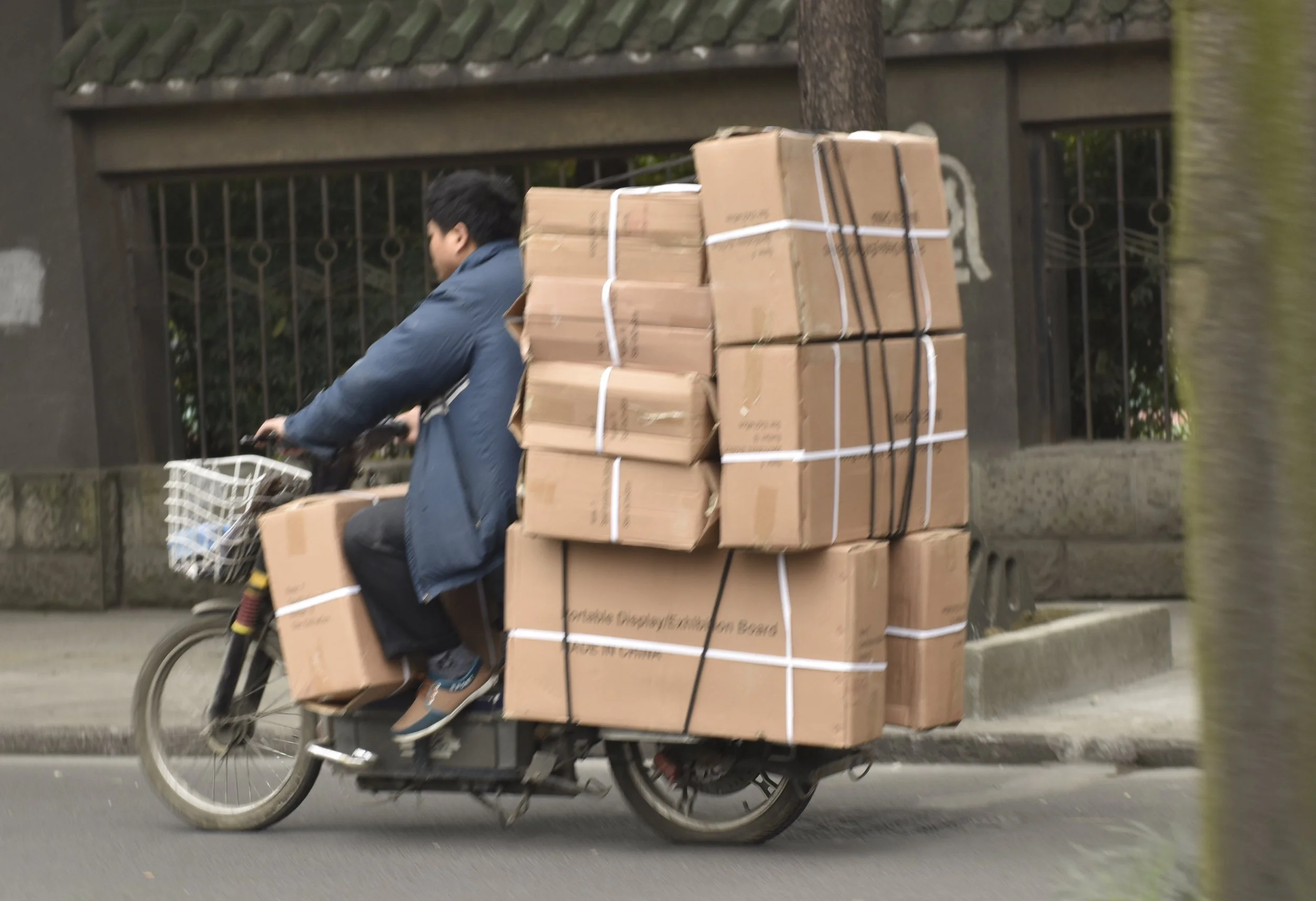 _DSC6788 cropped.JPG