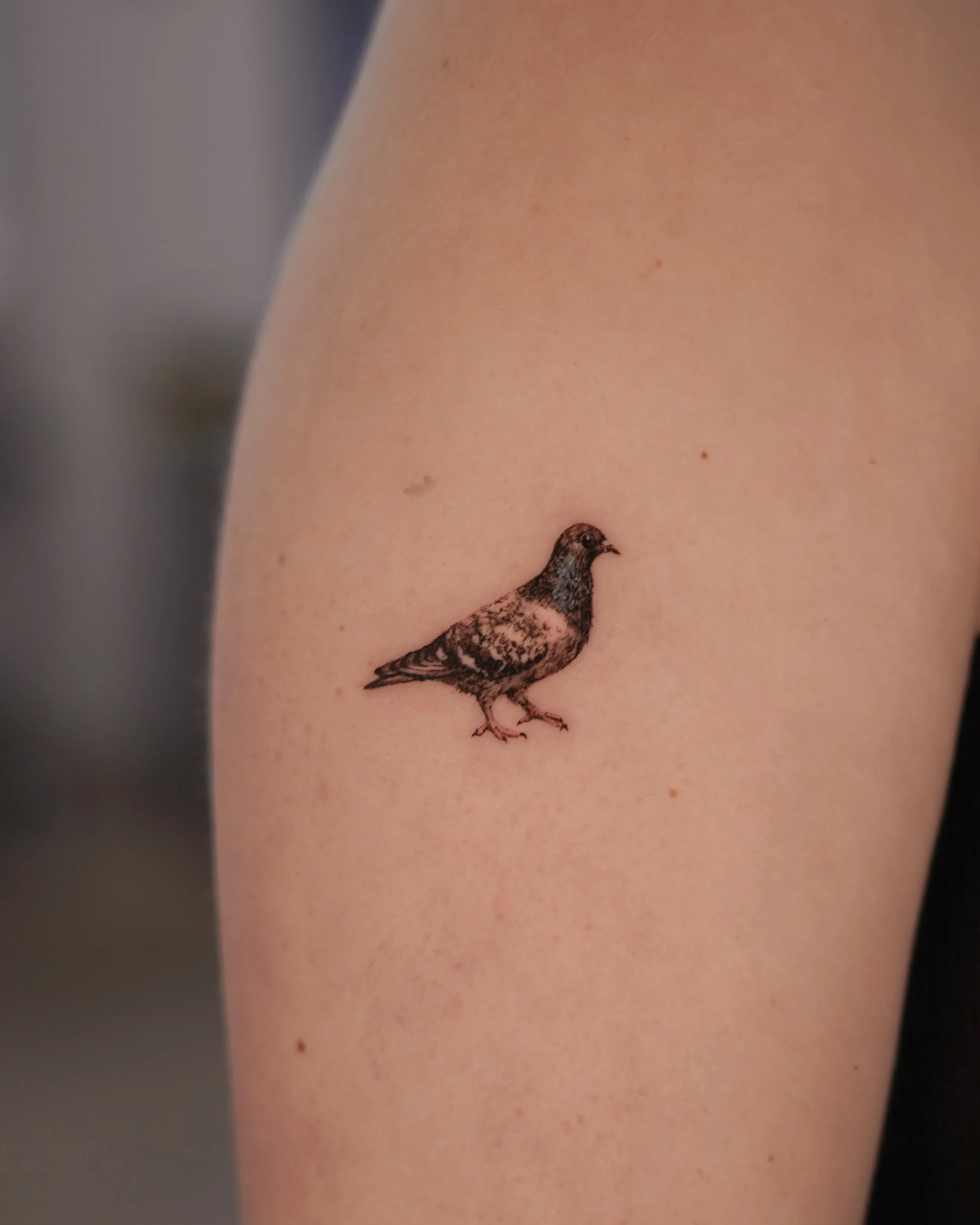 Tattoo of a small bird on a person's upper arm.