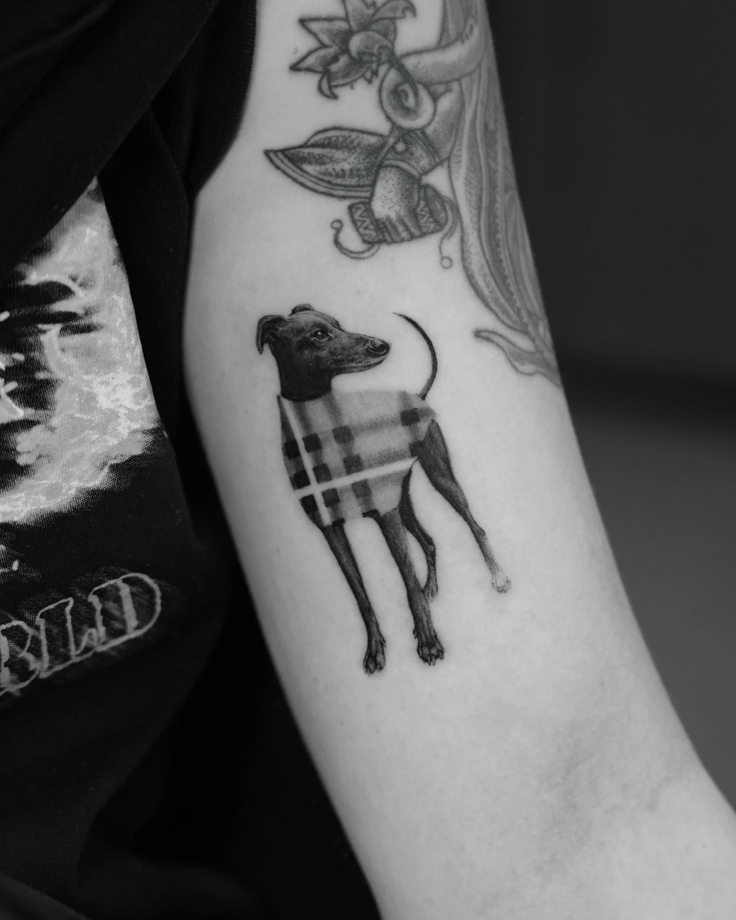 Tattoo of a dog wearing a plaid shirt on person's arm.