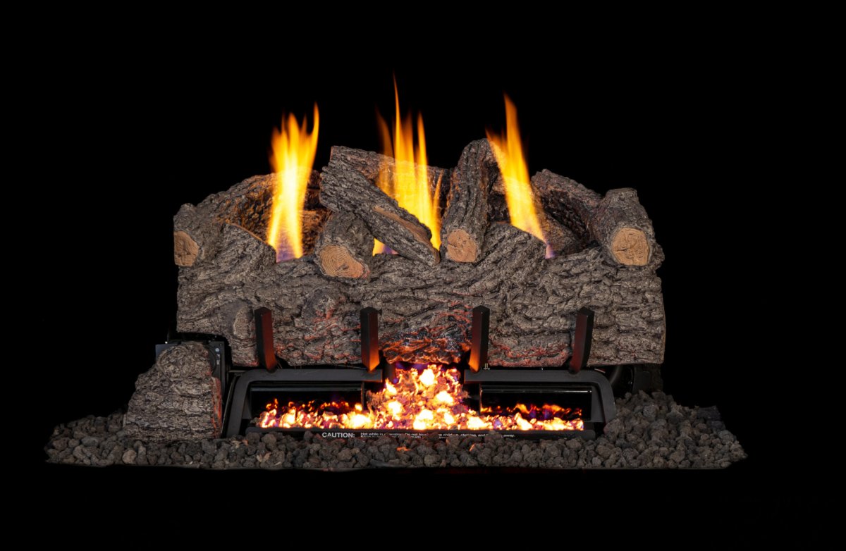 RF_GNO-24_Gnarled-Oak-scaled.jpg