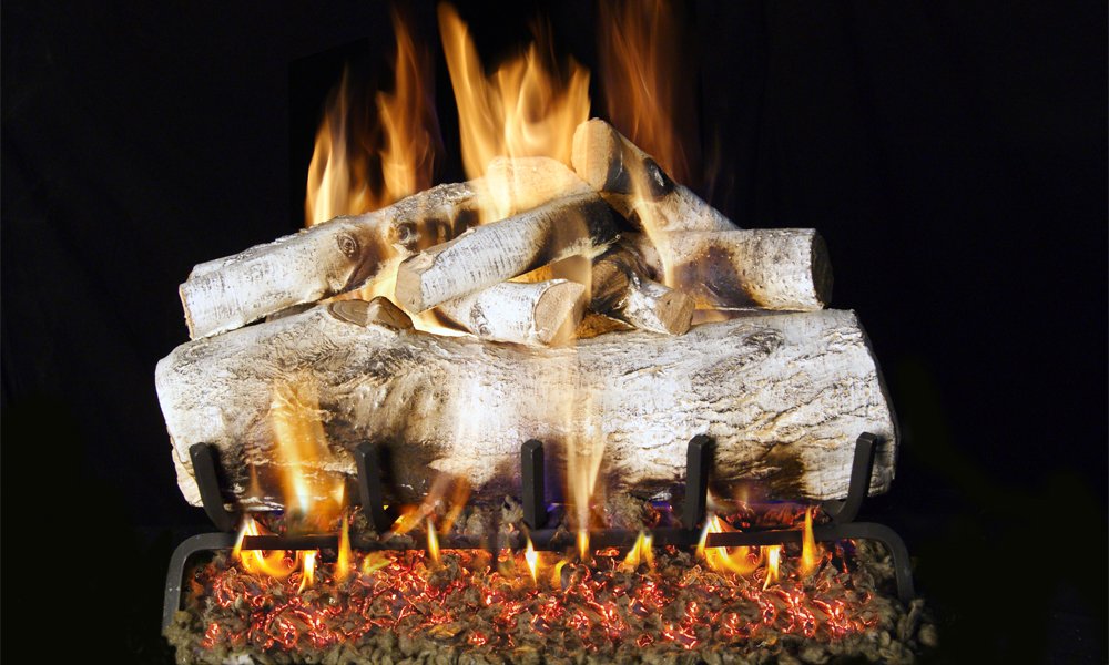 mountain birch.jpg