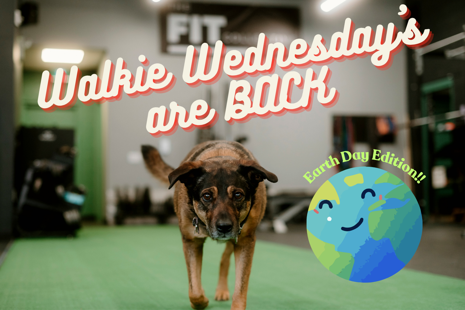 Walkie Wednesday - Lead by Coach Mocha