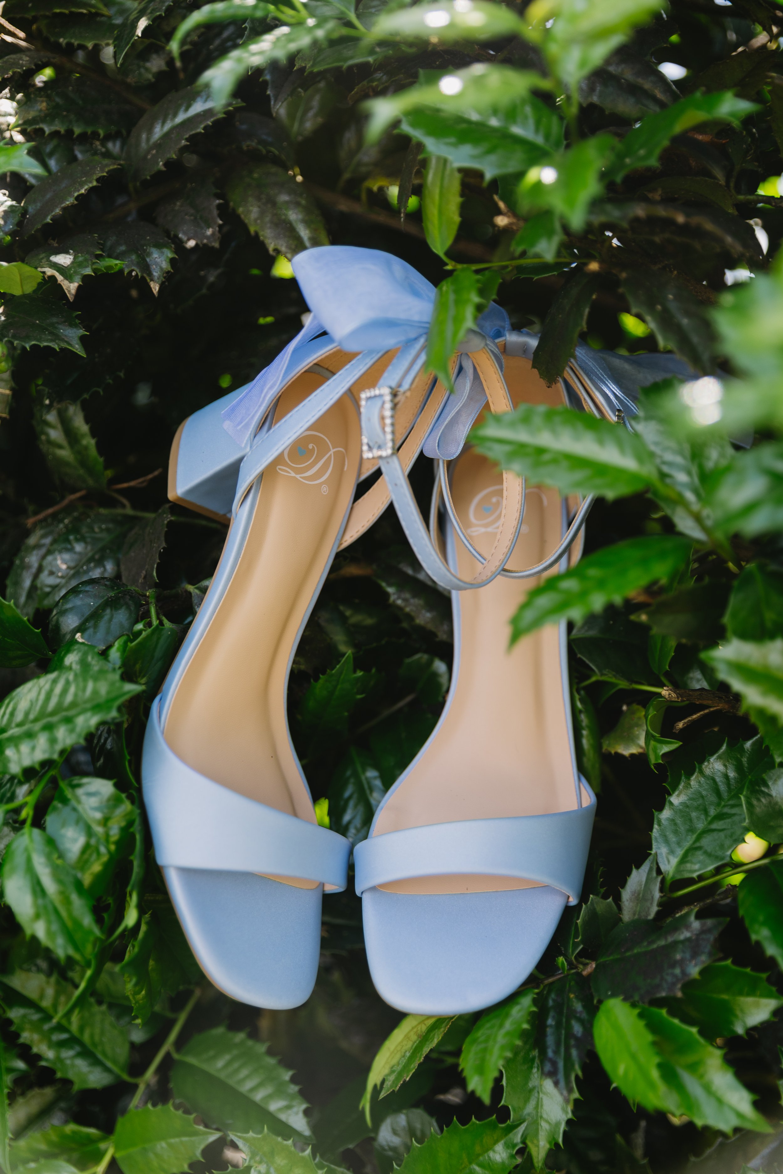 TaylorWedding-107.jpg