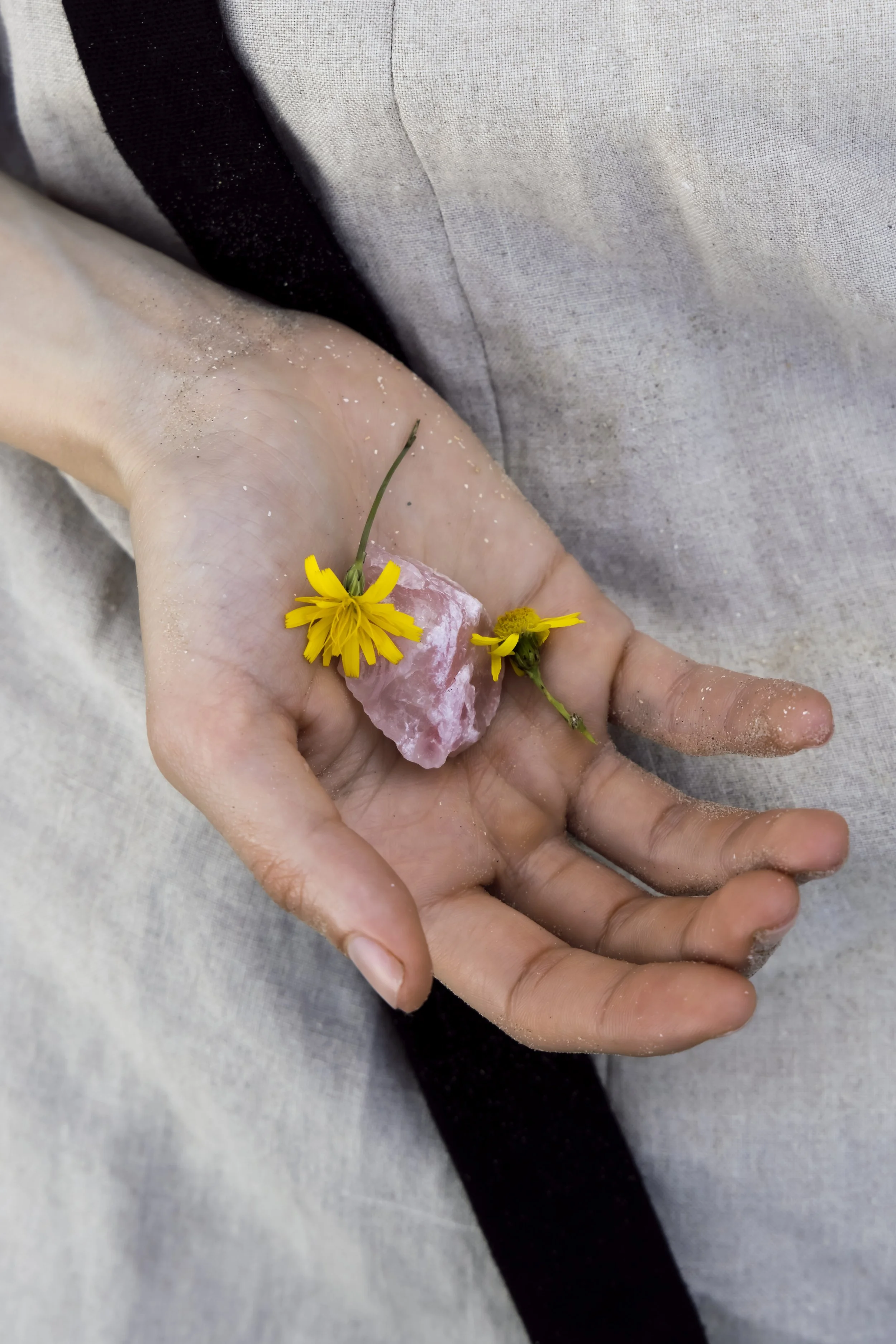 A hand holding a pink stone, a yellow flower, and a small yellow flower, with some sand on the fingers, against a  clothing from Manusama Nuance background.
