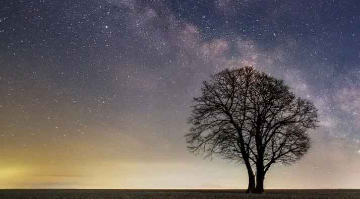 Introduction to Manual Neurovascular Release for Structural and Functional Balance