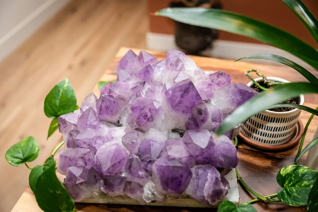 A cluster of purple and white amethyst crystals on a wooden surface surrounded by green houseplants.