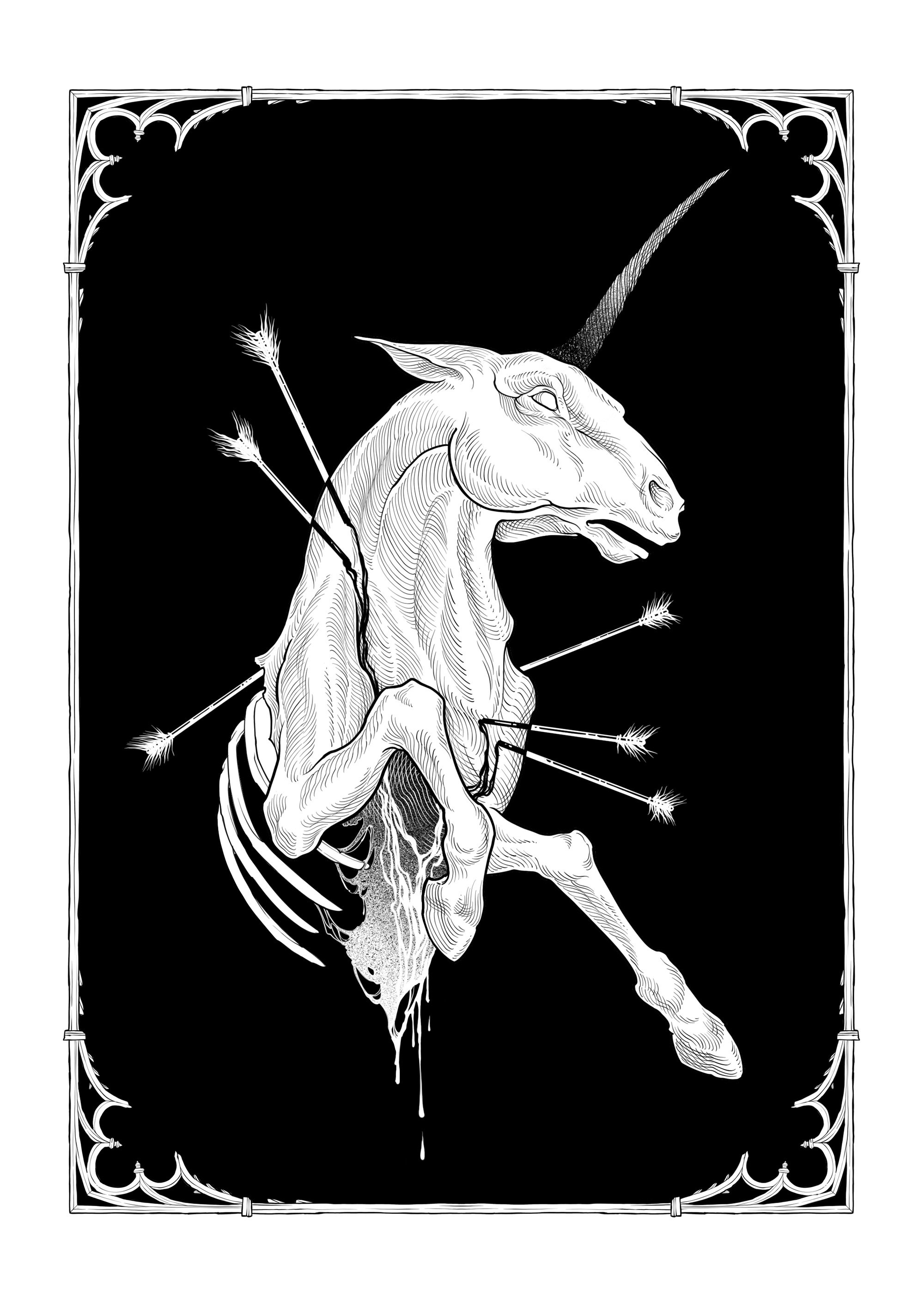 Einhorn.jpg