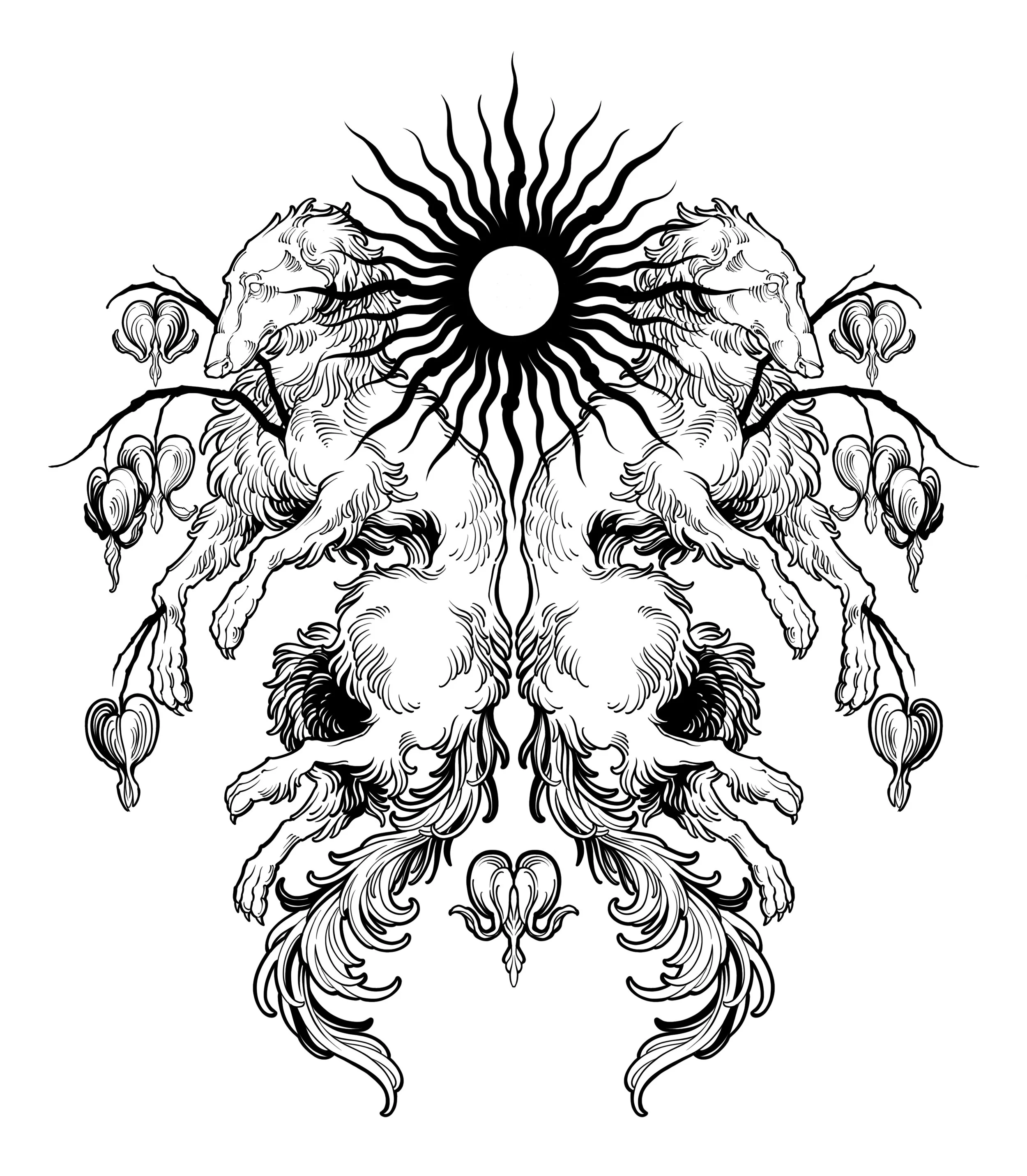 Schöner Doppelsporn Schwarz