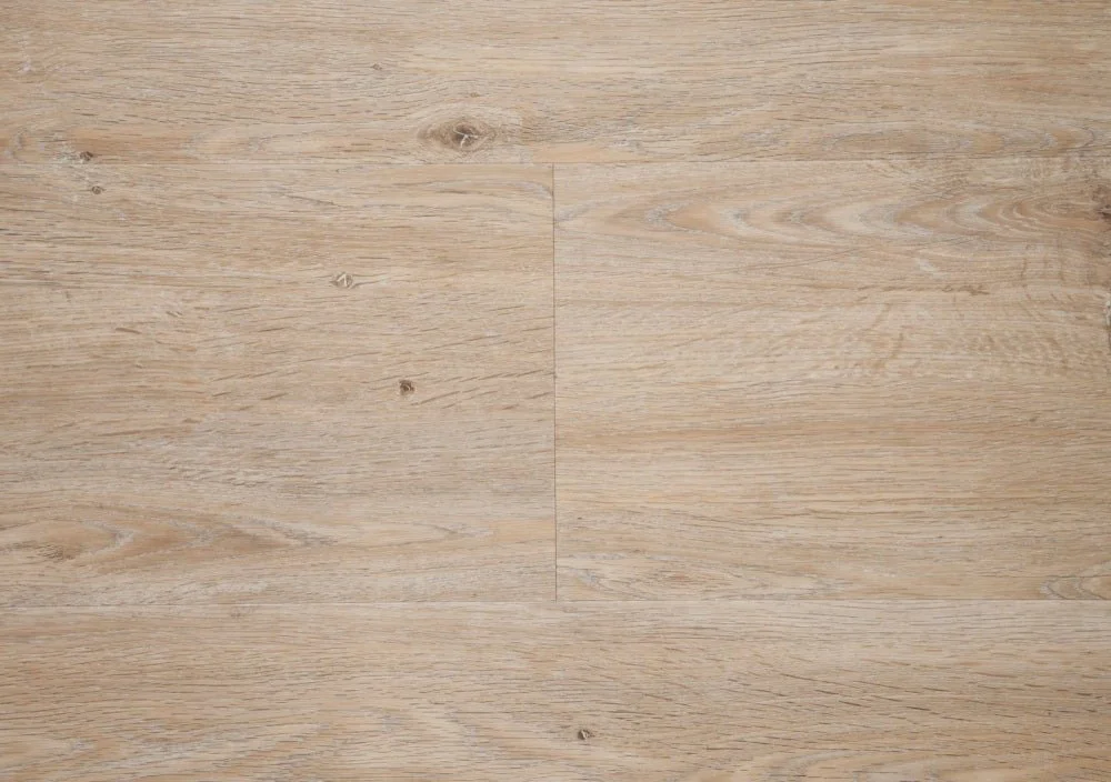 Candlewood_1000x.jpg