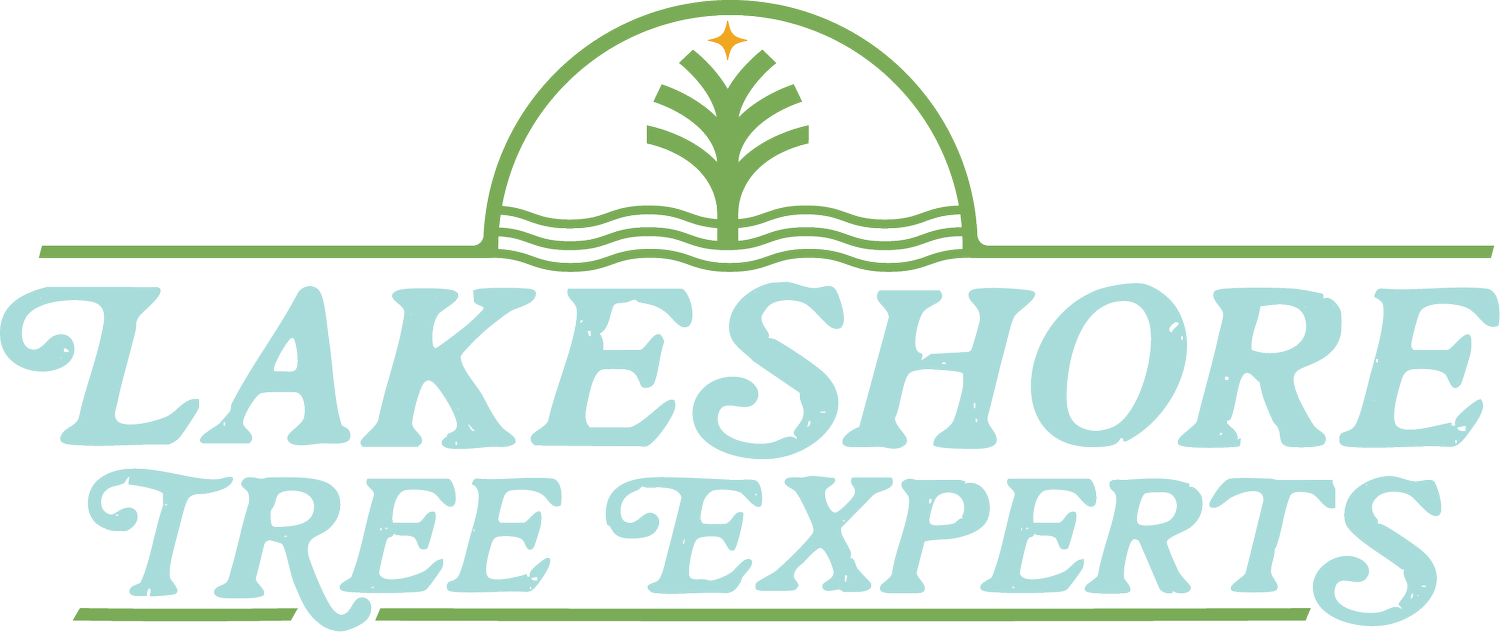 Lakeshore Tree Experts