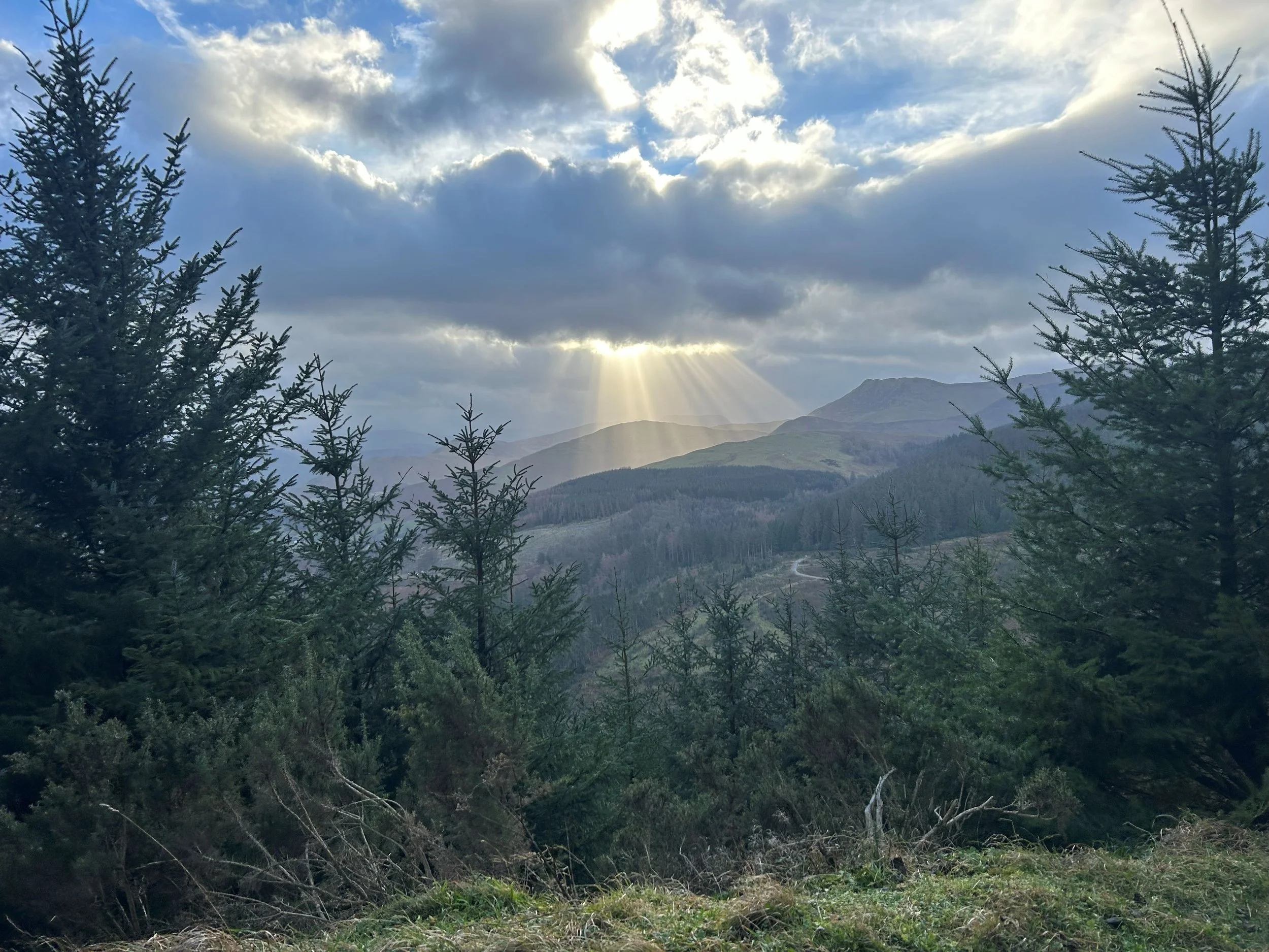 A day without technology and a trip to Whinlatter Forest