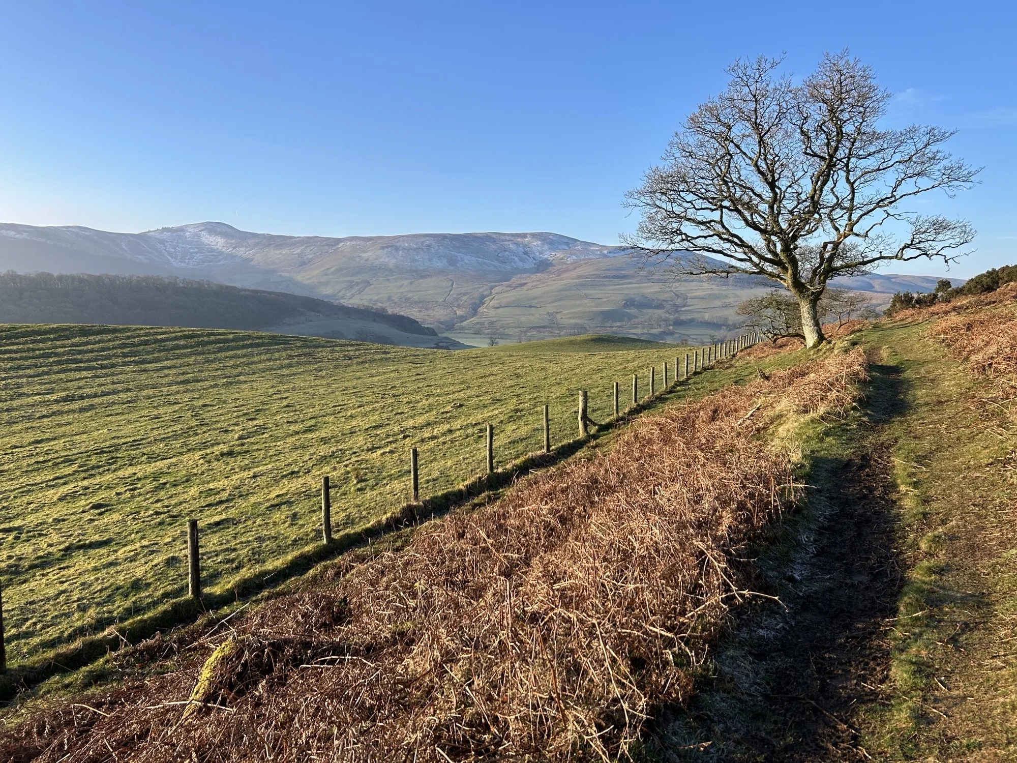 A walk around Sale Fell