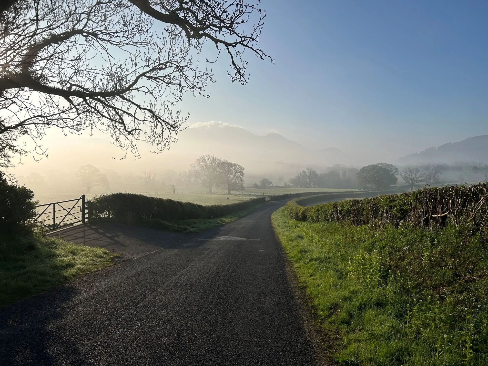 Finding my ‘why’