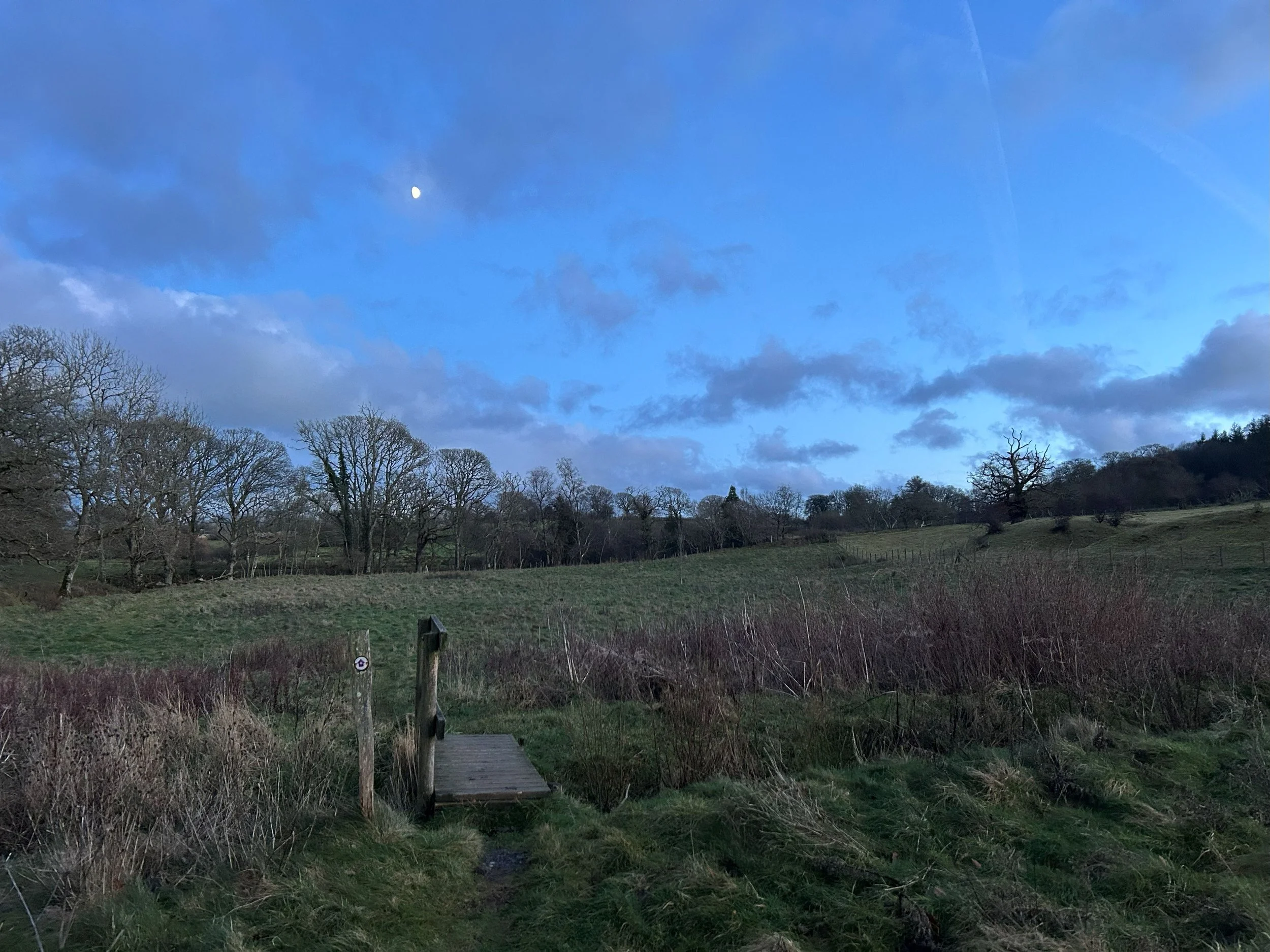 A small bridge crossing a stream in amongst a field. There's a treeline heading into the distance and a bright moon in a darkening sky dotted with clouds