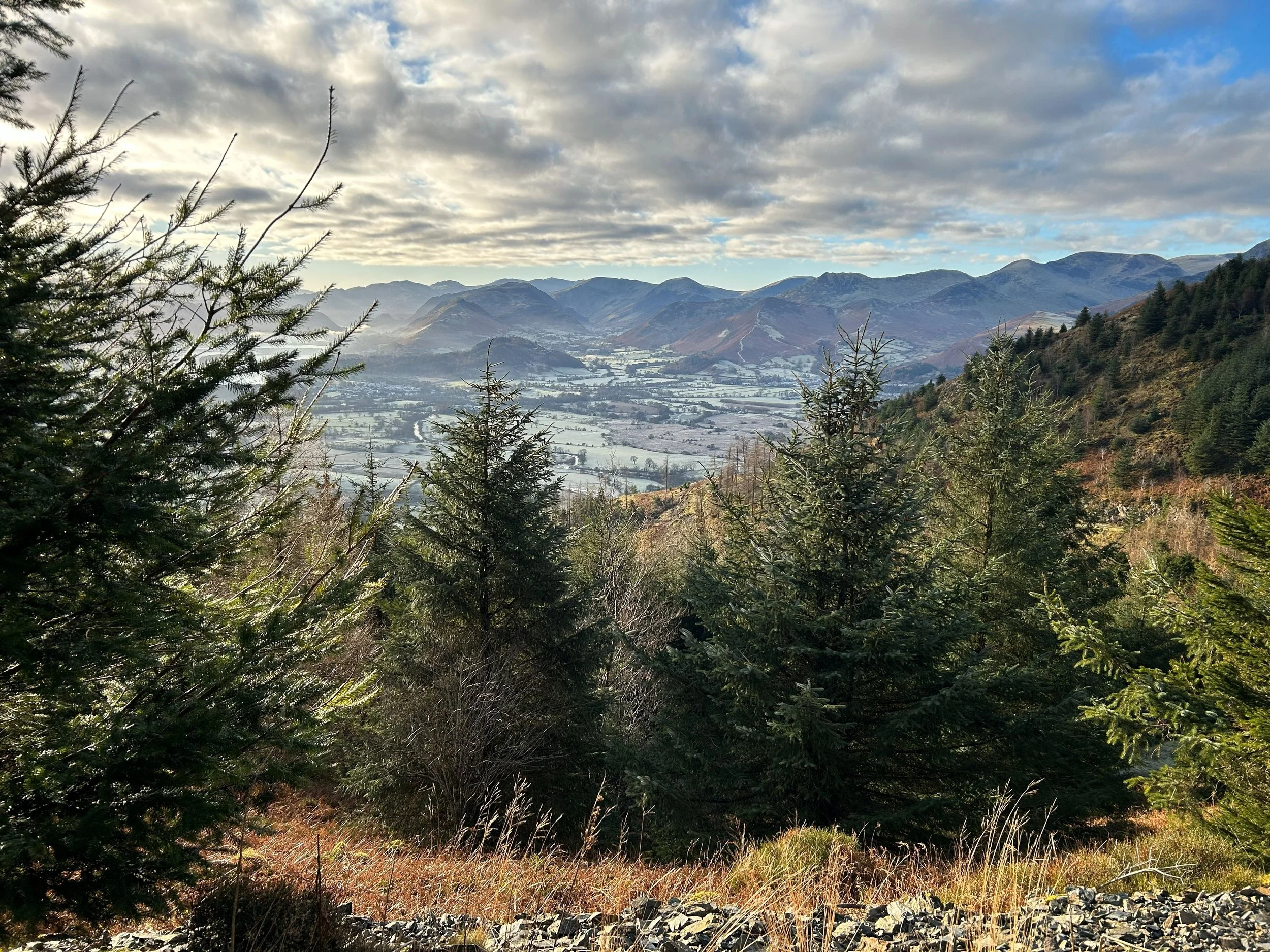 Spruce trees in the foreground, with a wide sweeping view of mountains and spotty clouds heading into the distance