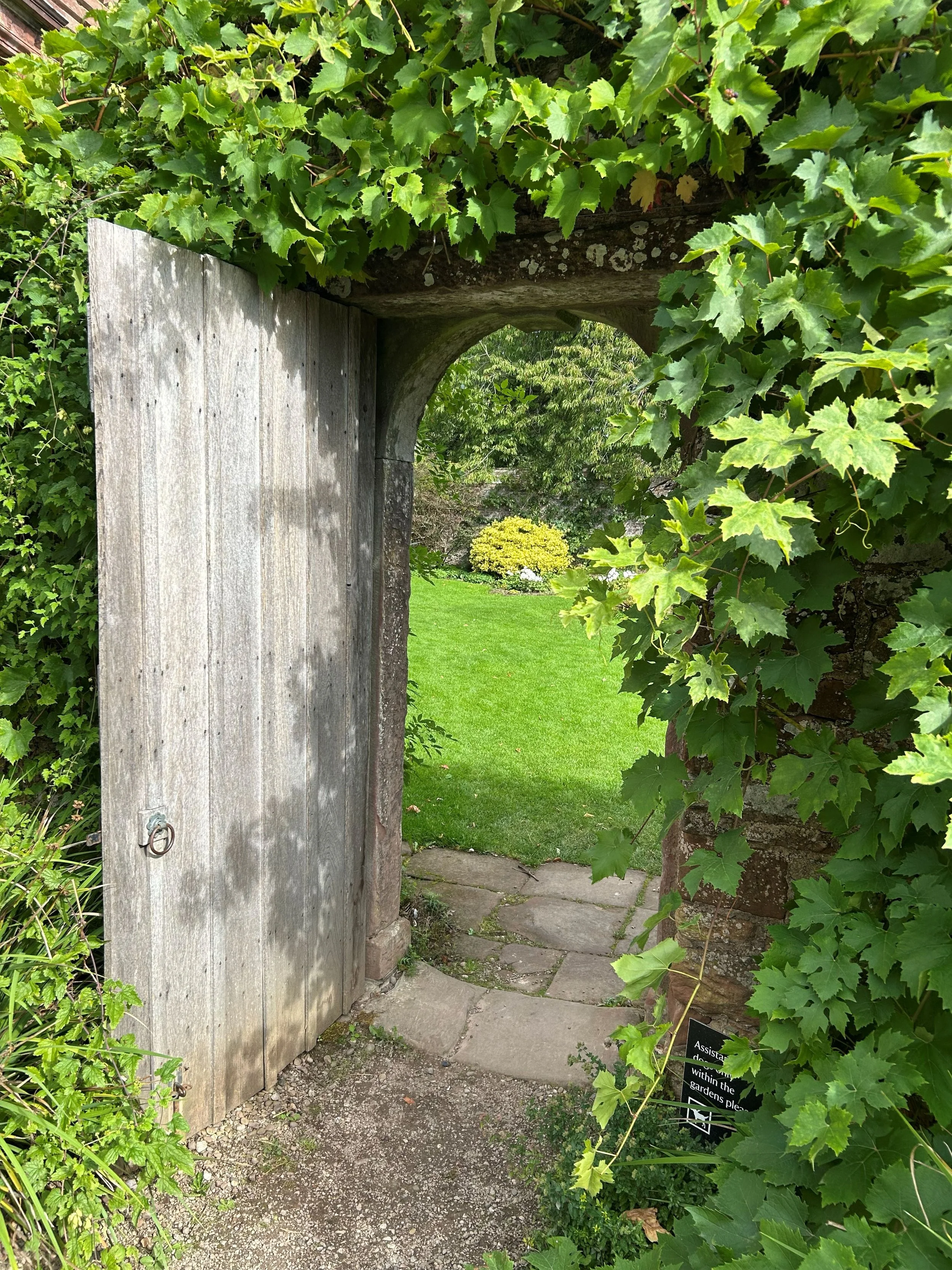An open wooden door set in a stone wall with vines all around. Through the door there is a view to the lawned garden beyond.
