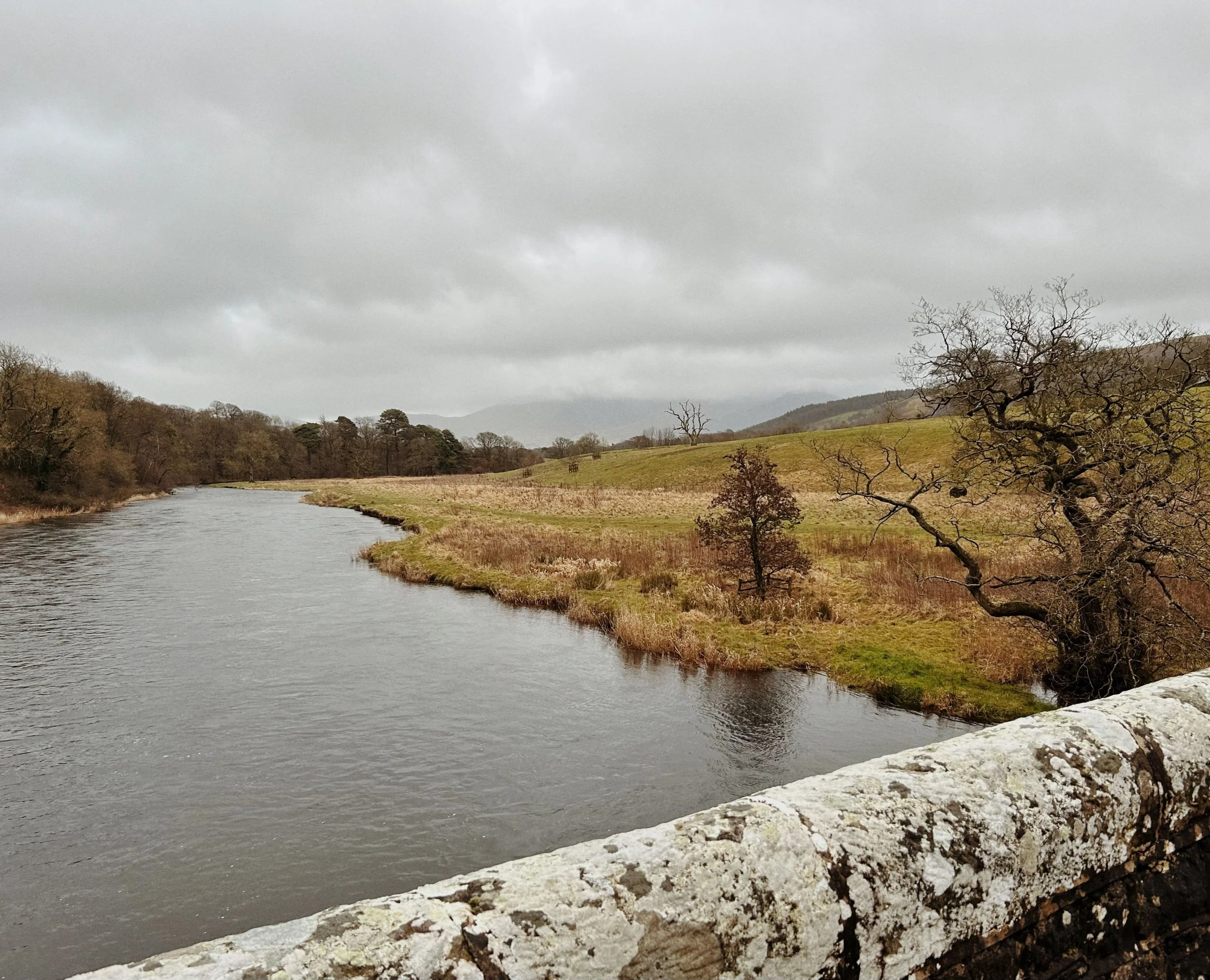 The river winding it's way into the distance with a forest on the left and cloud covered mountains in the background. To the right are fields with a few gnarly trees. A grey, cloudy sky is above.