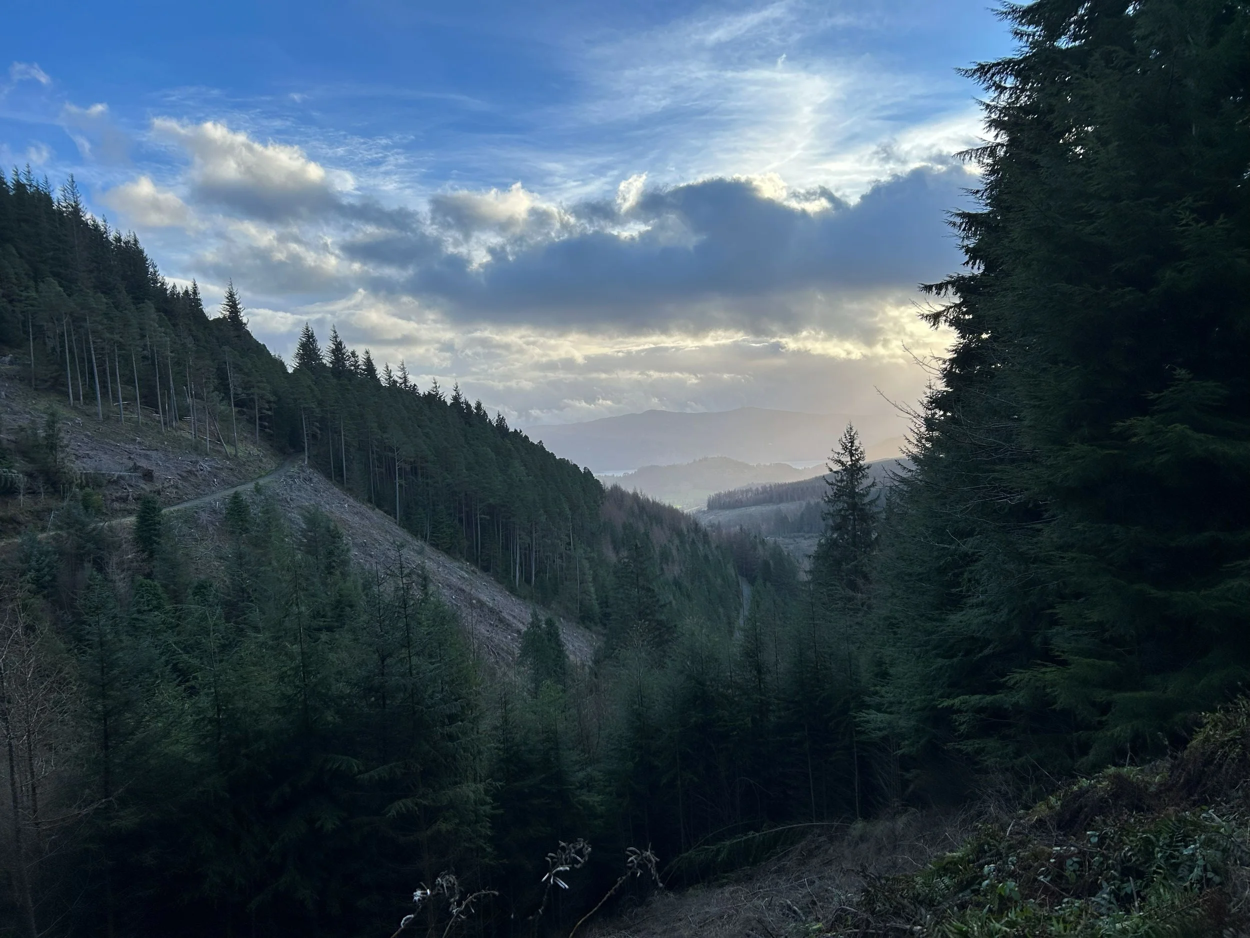 A photo framed with tree lined hills, a magical path leading into the woodland to the left and in the distance faded mountains covered by a cloudy sky. A misty mountain view.