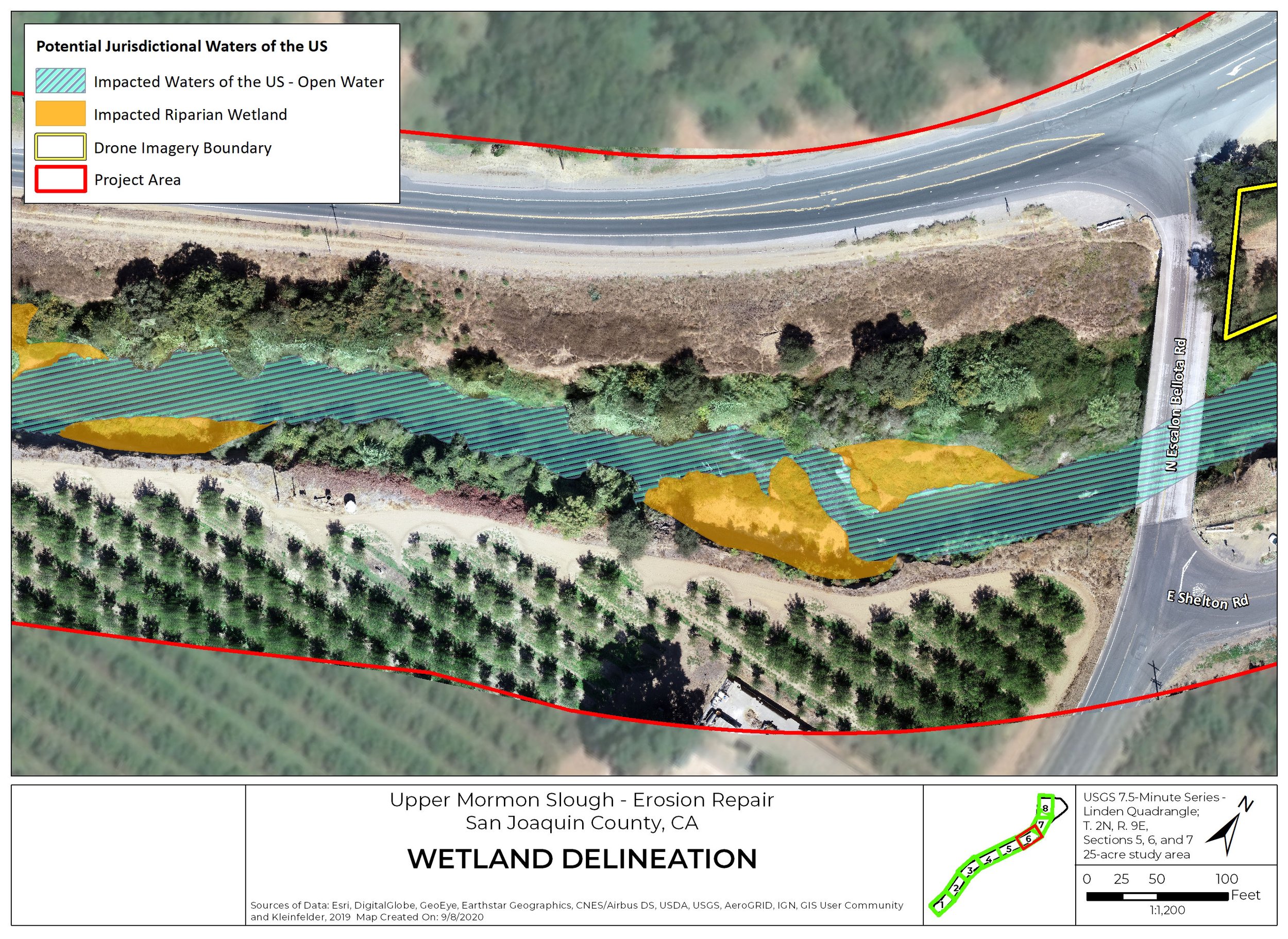 WetlandDelineation-Pg6MormonSlough20200908.jpg