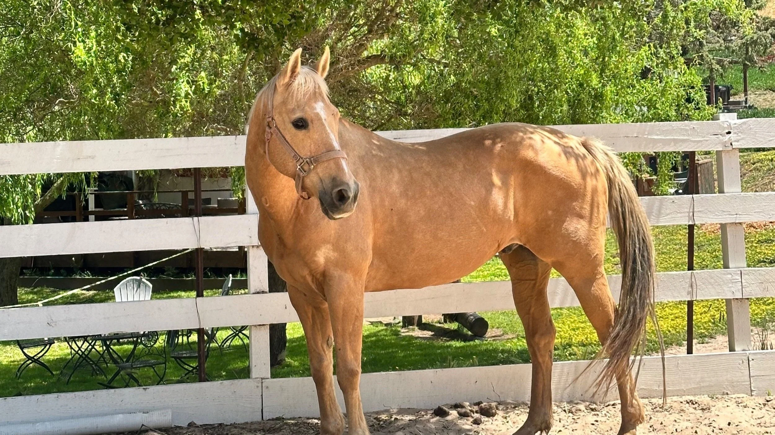 Hidden Hills Ranch