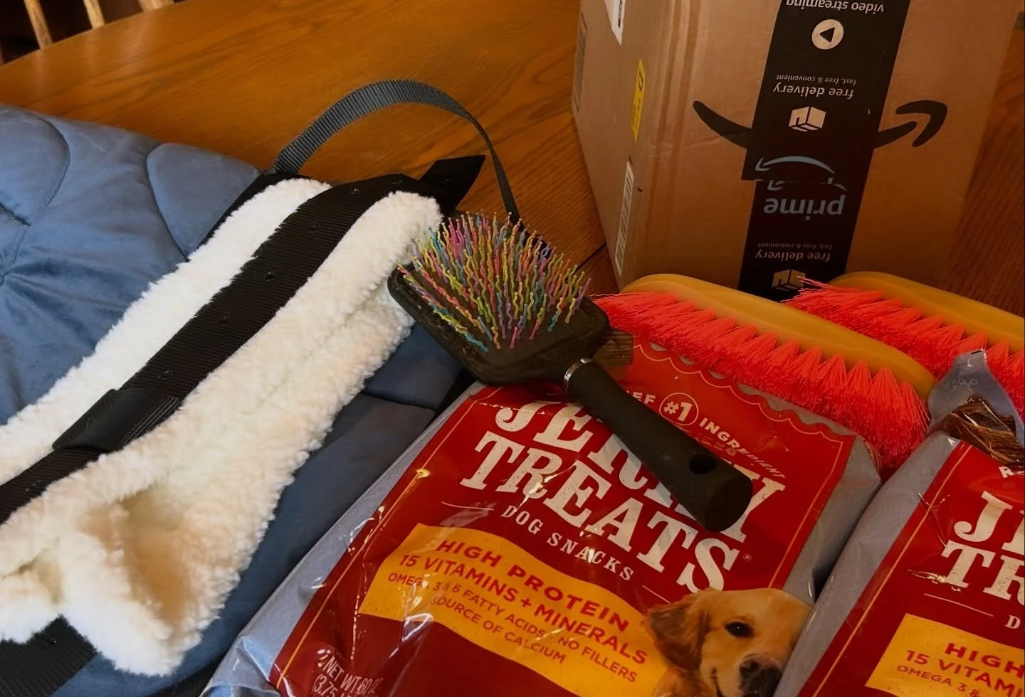 We love getting surprises from our Amazon Wishlist 🤍 

Thank you, KN! Moments like this remind us how special our community is and how much these small acts of kindness mean to the ranch.