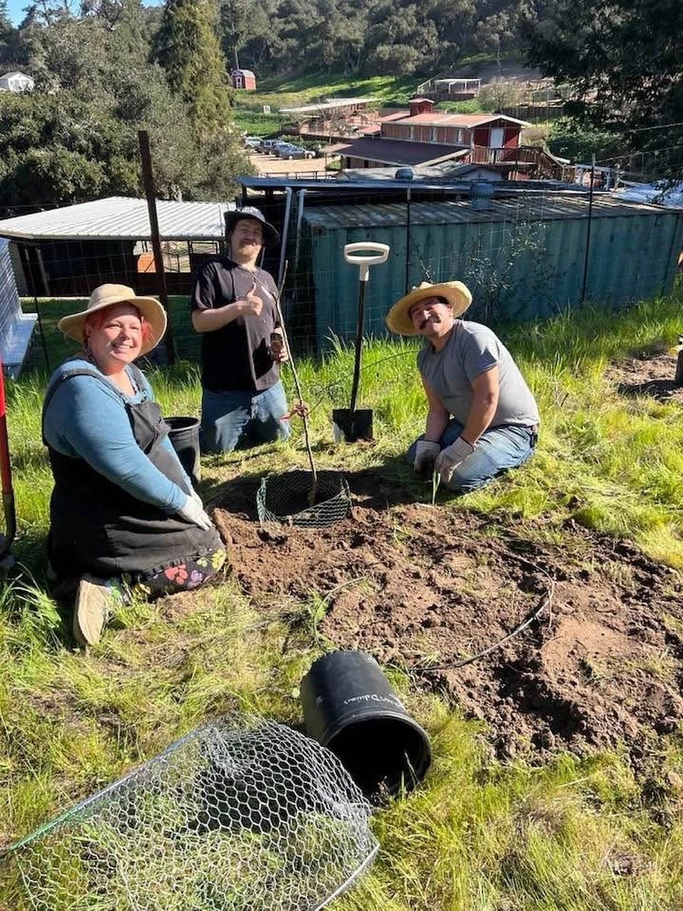 After years of being overlooked, our orchard is finally getting some much needed love 🍎🌱

New plants are in the ground, and we can&rsquo;t wait to watch them grow and thrive right here on the ranch 🌳✨