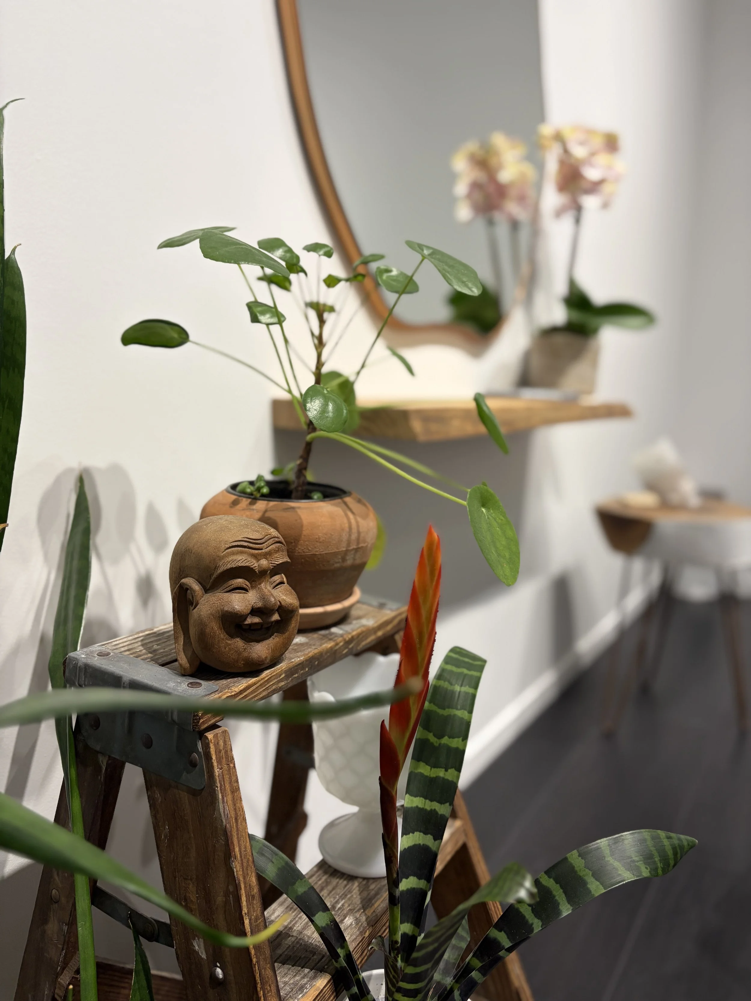 Meet Chiharu | Japanese Hair Stylist &amp; Head Spa in Los Angeles. はじめまして、Chiharuです。｜ロサンゼルスの日本人美容師。