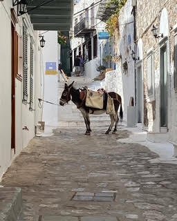 Donkey standing in a narrow, cobblestone street with white buildings and stairs in a hillside town.
