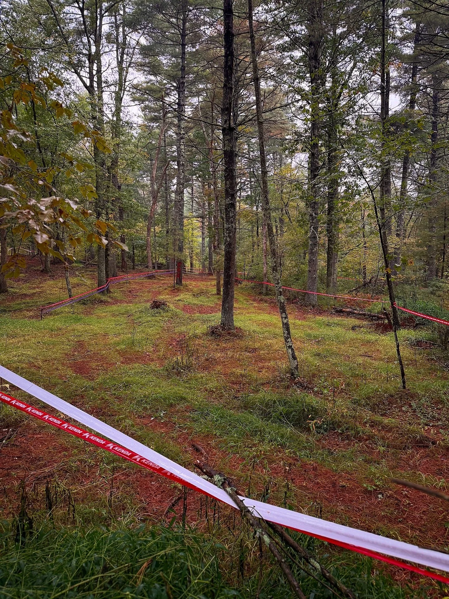 RICHARDSON’S FARM GP - SUNDAY’S DREAMY TRACK PICTURES 