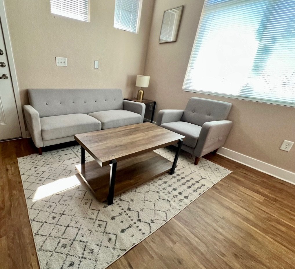 A living room with a light gray sofa, a matching armchair, a wooden coffee table, a patterned area rug, a small side table with a gold lamp, and window blinds letting in natural light.