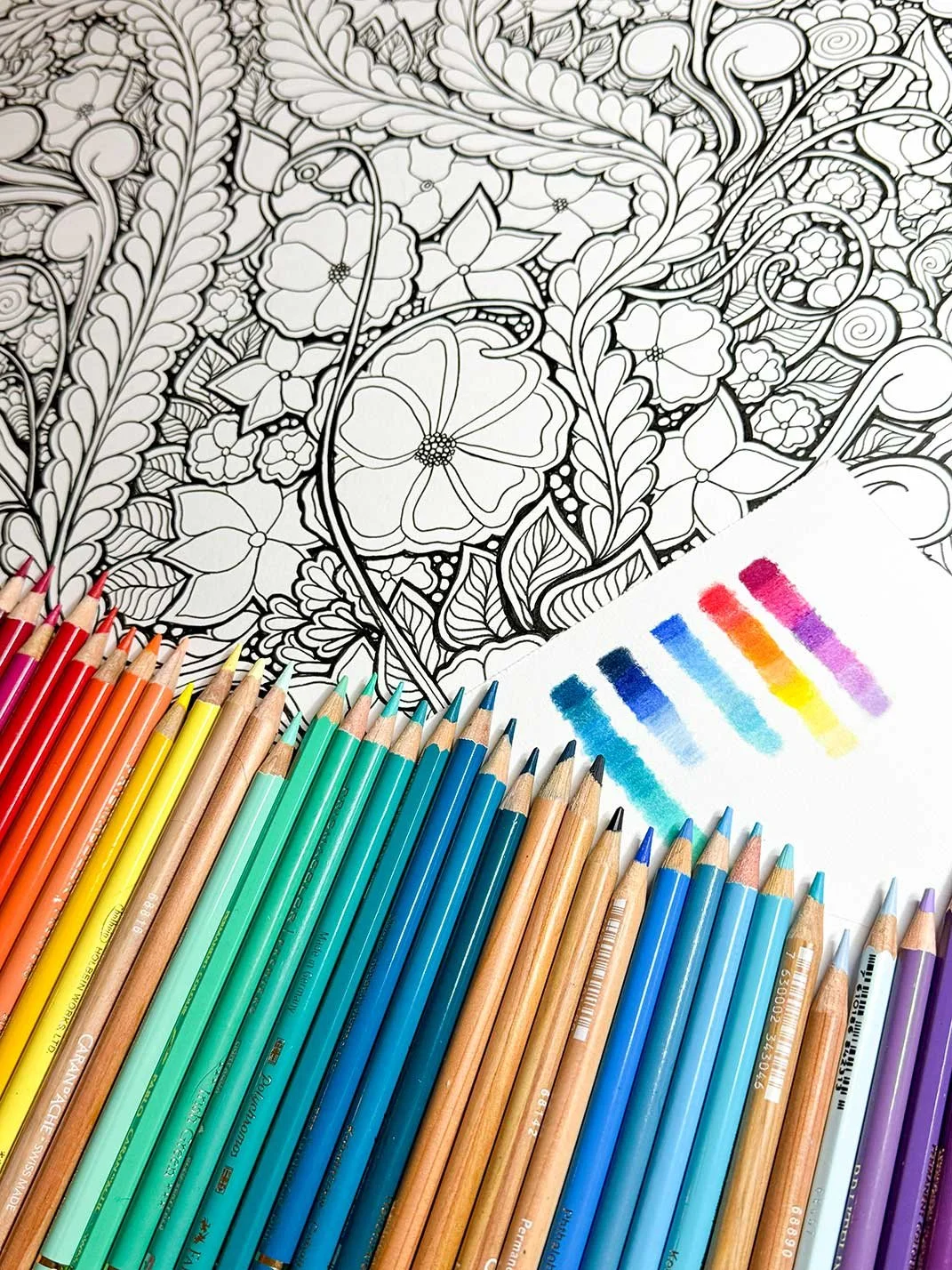 Colorful colored pencils arranged in order from red to purple in front of a detailed black and white hand-drawn doodle.