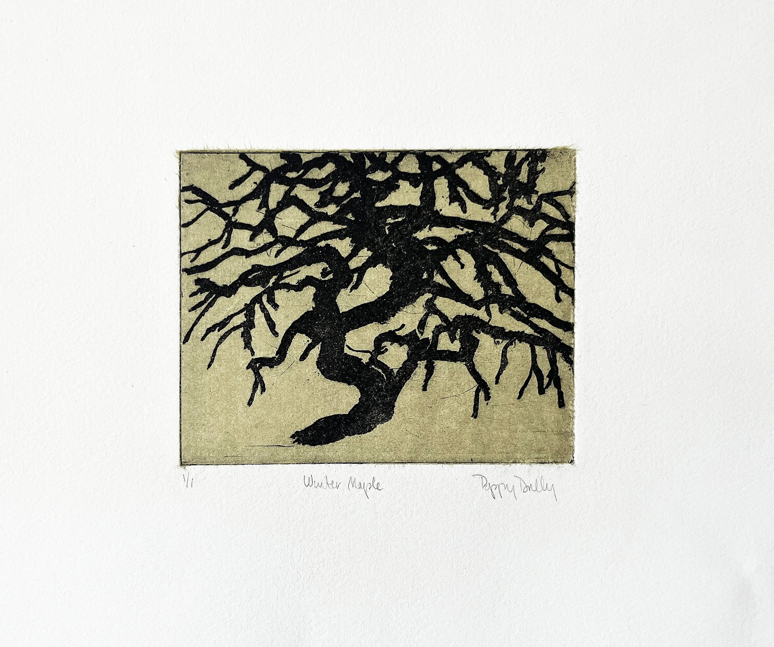 Winter Maple