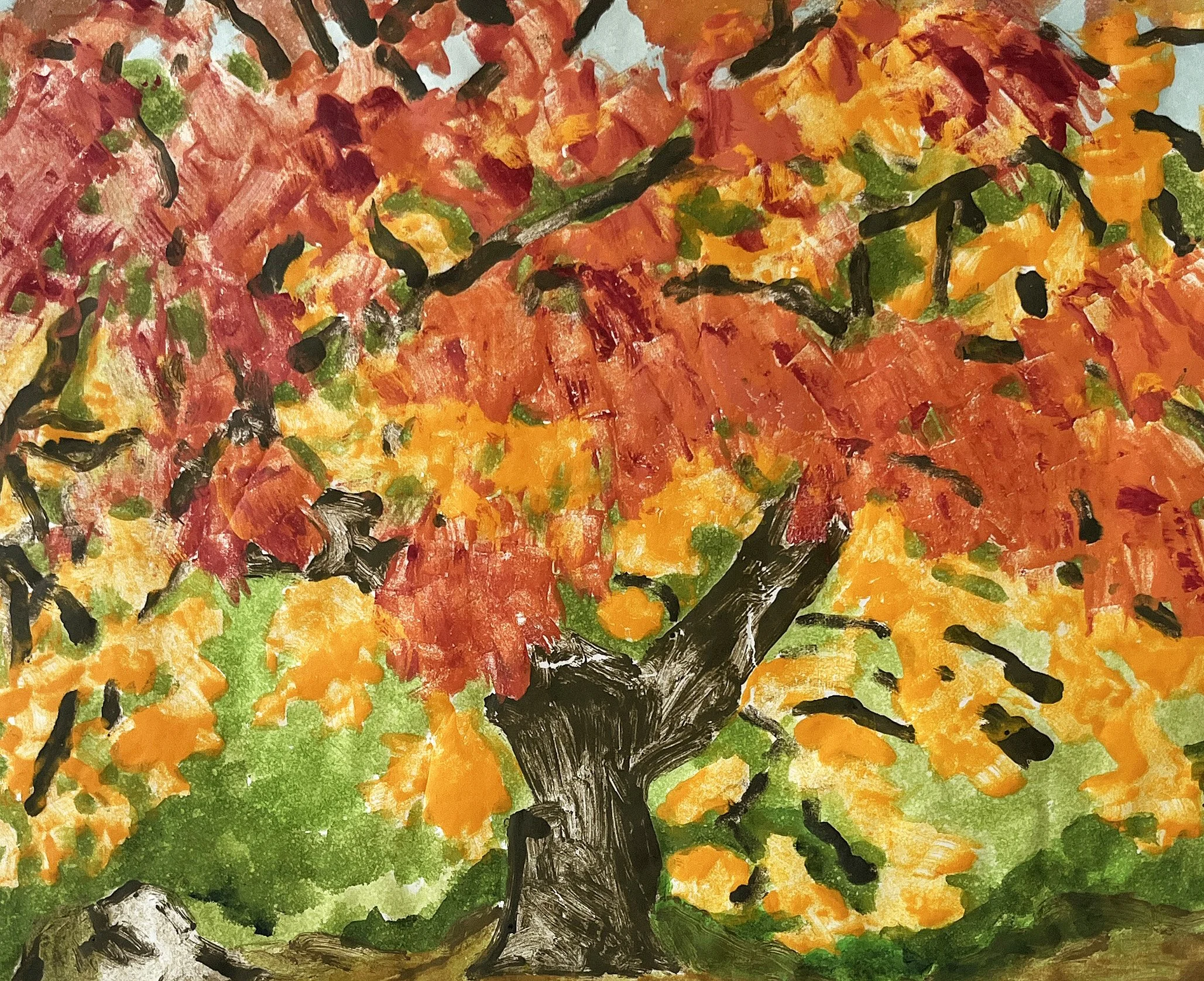 Autumn Colors