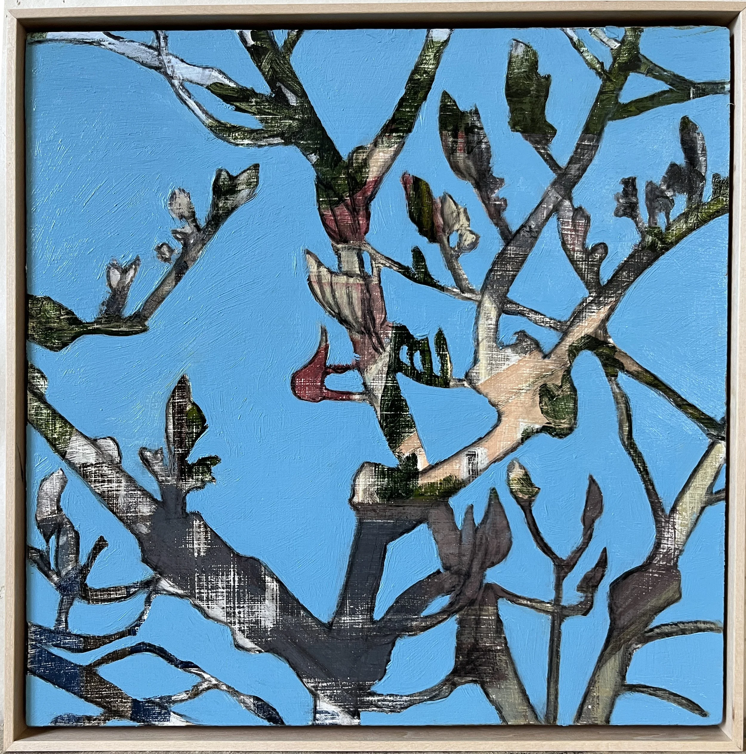 Witch Hazel - April