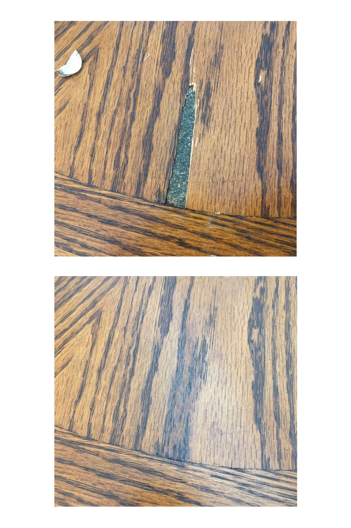 66Untitled design.jpg